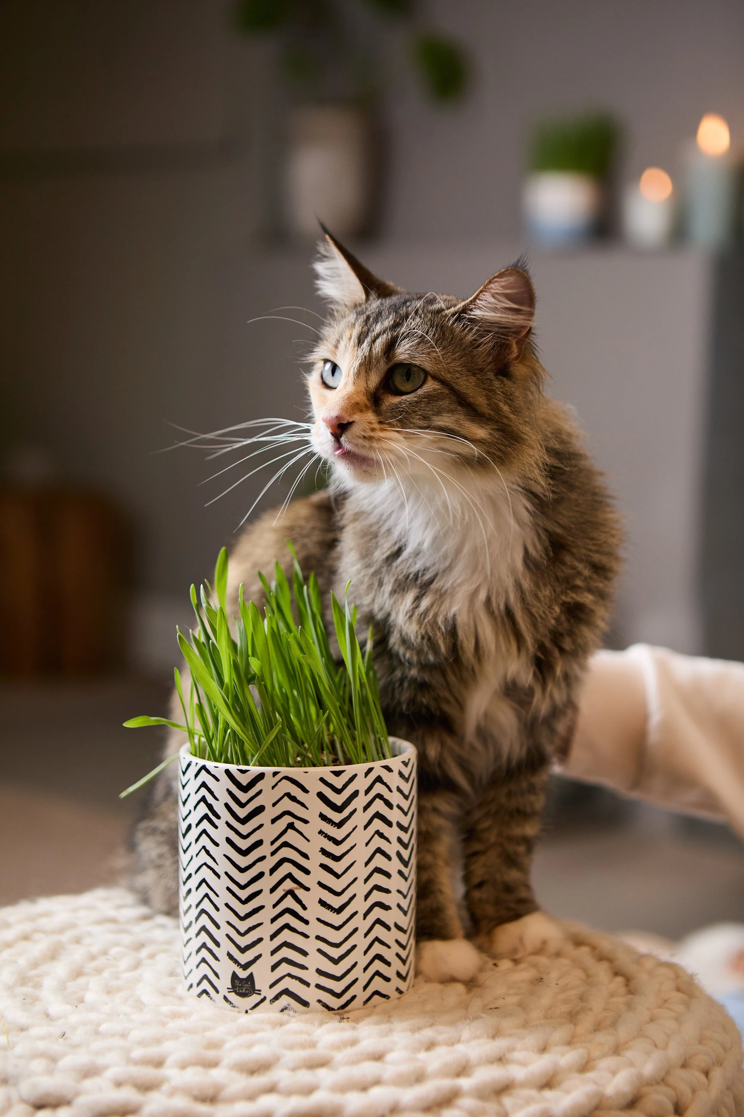 sellerX-day3 155.jpg