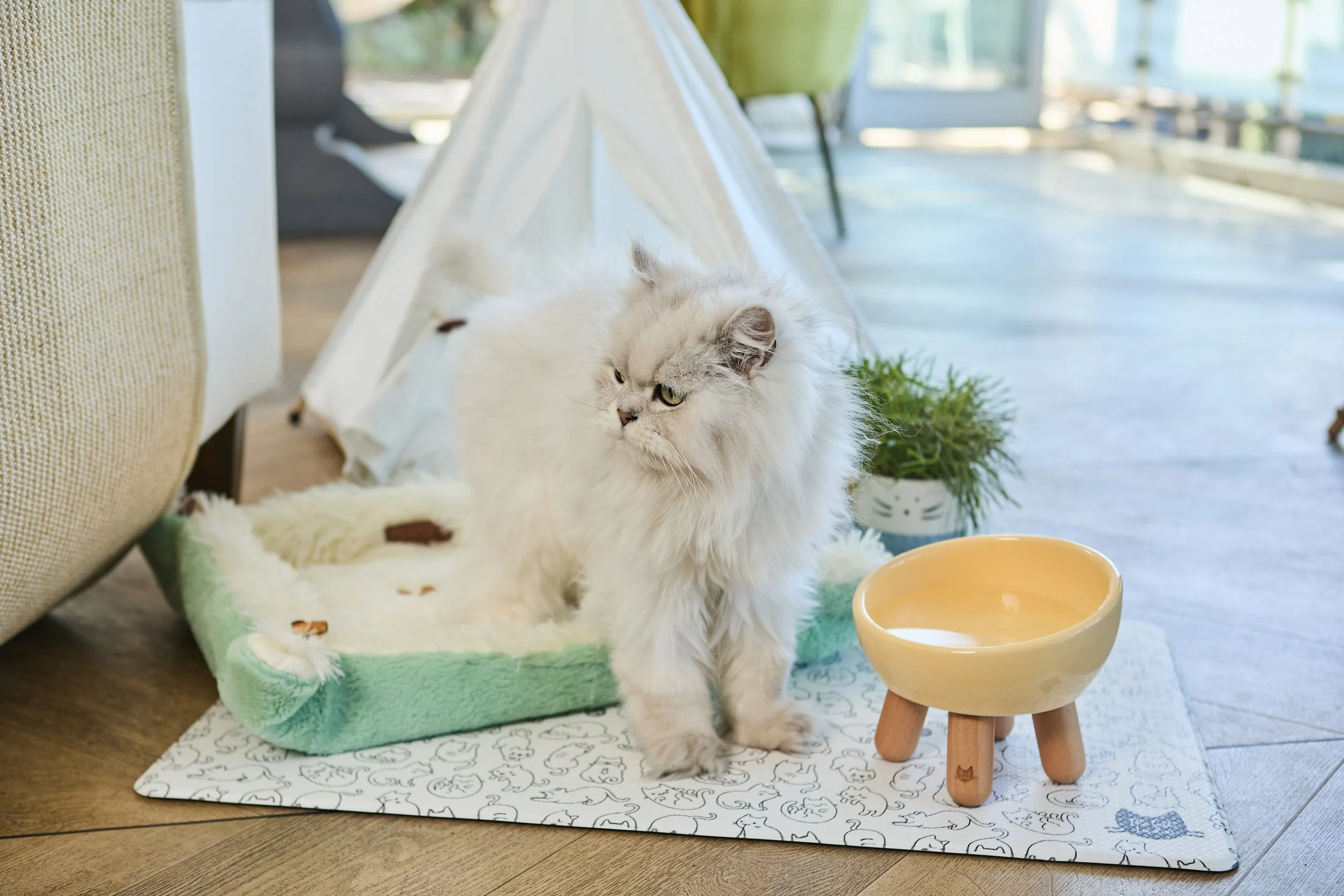 SellerX-08.12.25 523 (1).jpg