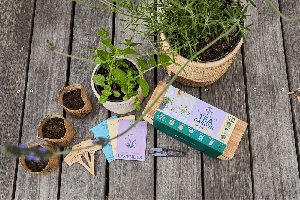 Garden Republic