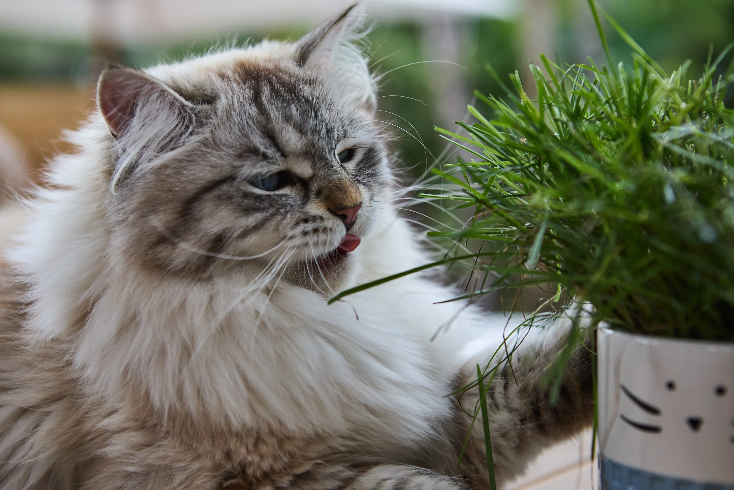 SellerX-09.12.25 234.jpg