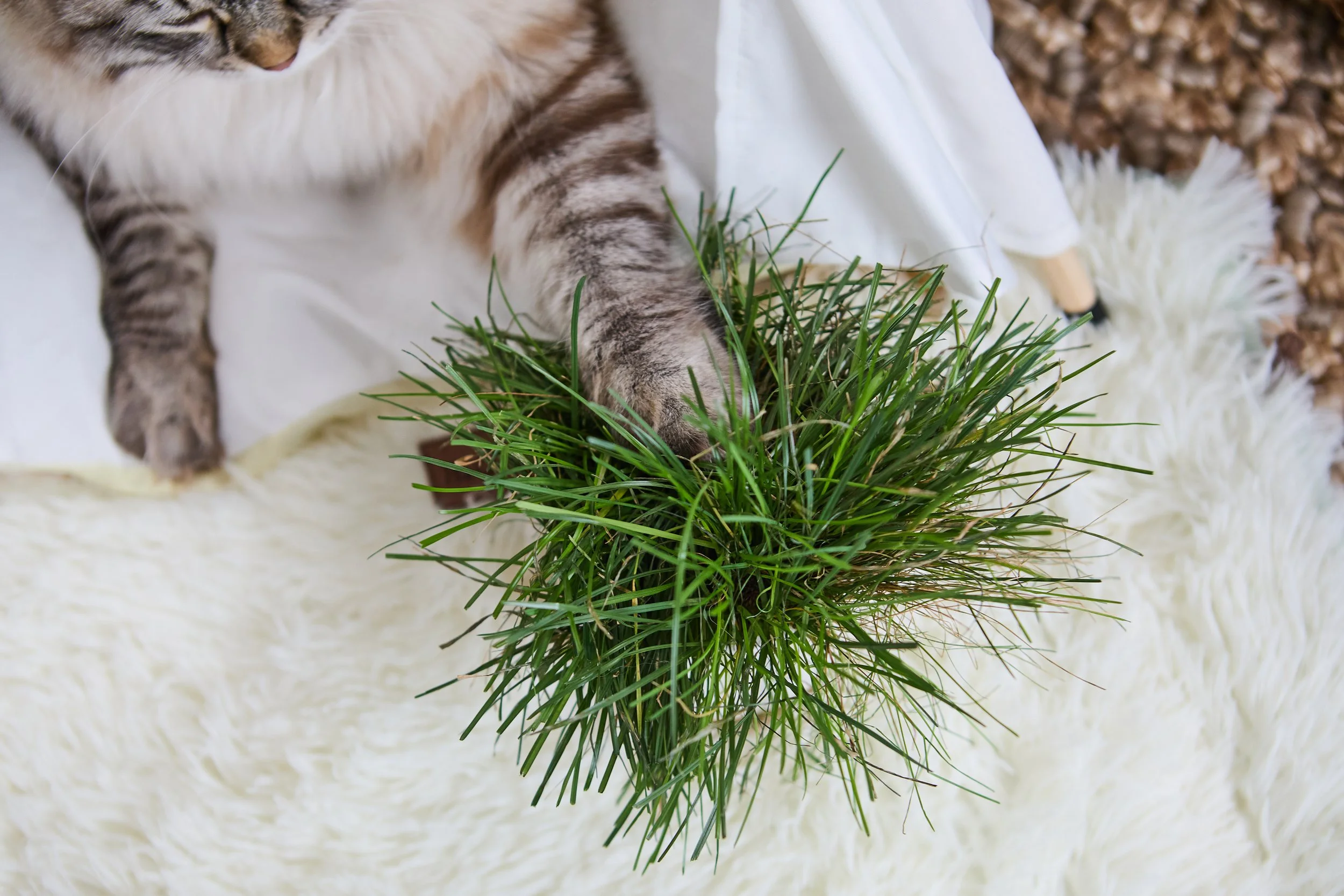 SellerX-09.12.25 147.jpg