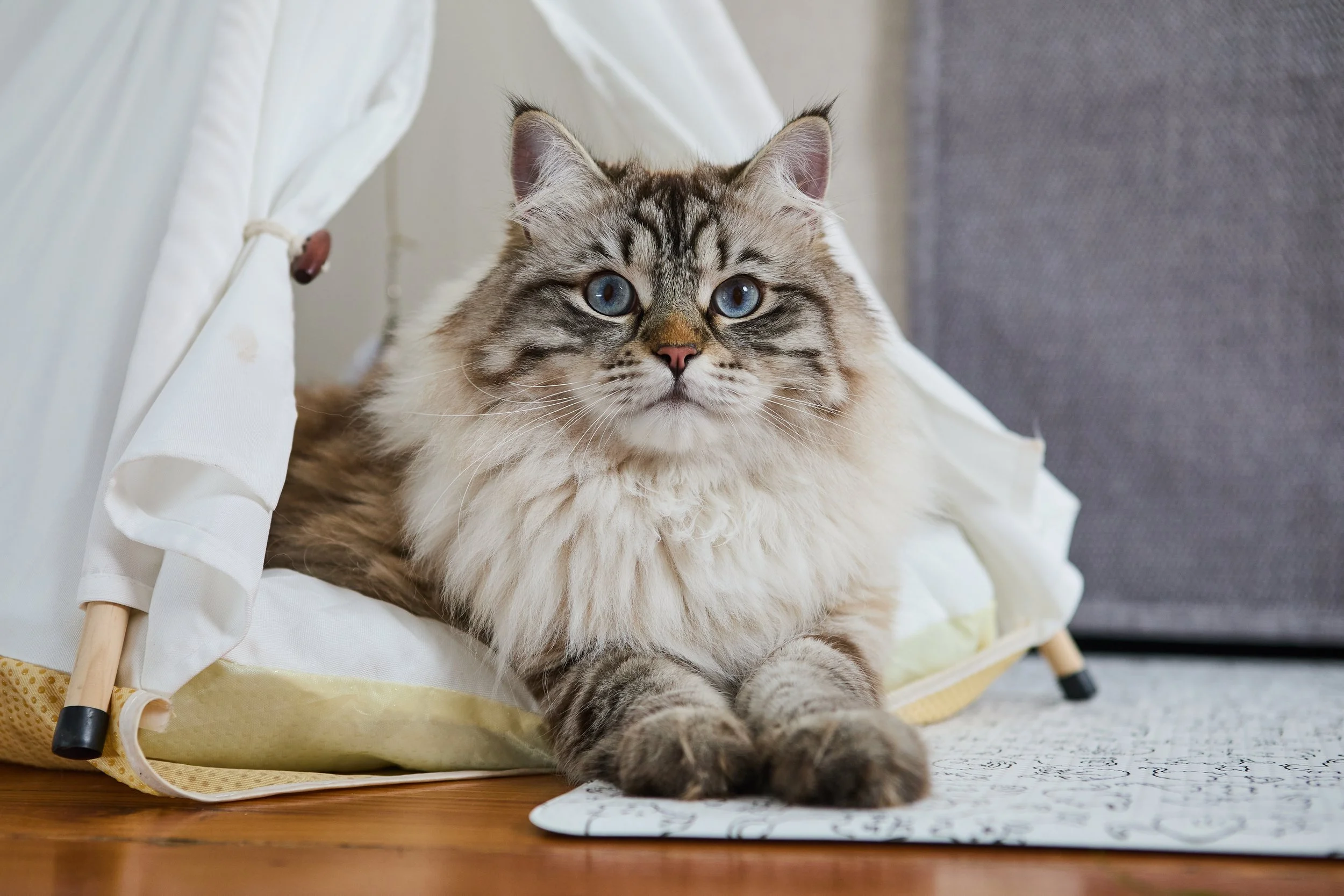 SellerX-09.12.25 70 (3).jpg