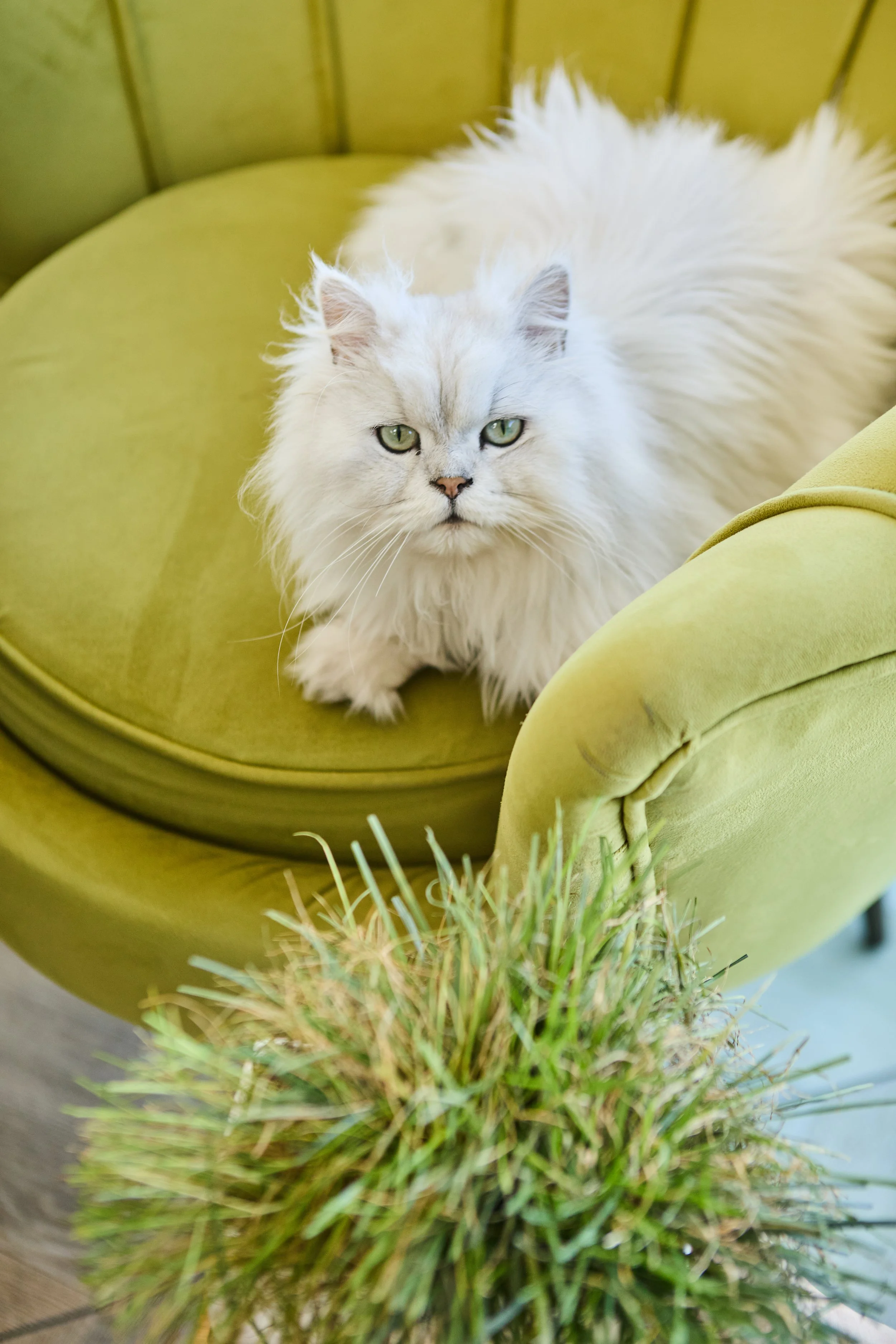 SellerX-08.12.25 470.jpg