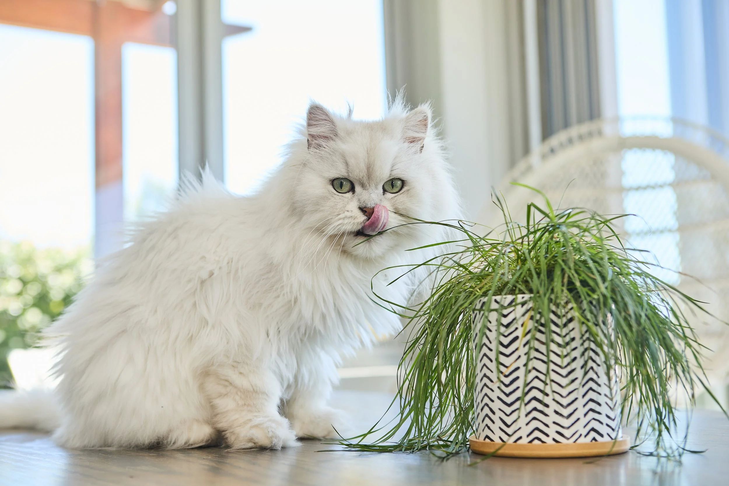 SellerX-08.12.25 260.jpg