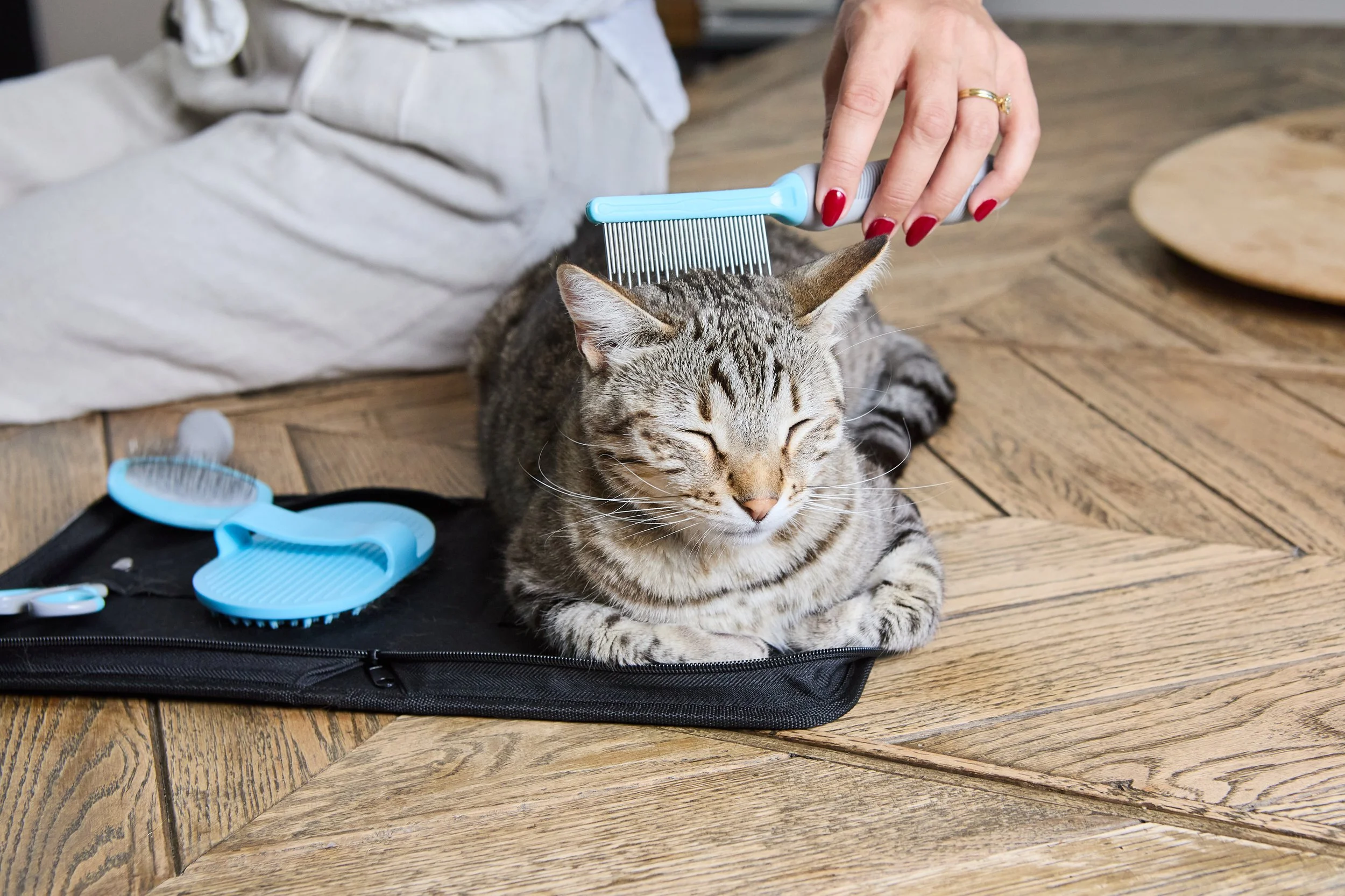 CatLadies_27.01.25 308.jpg