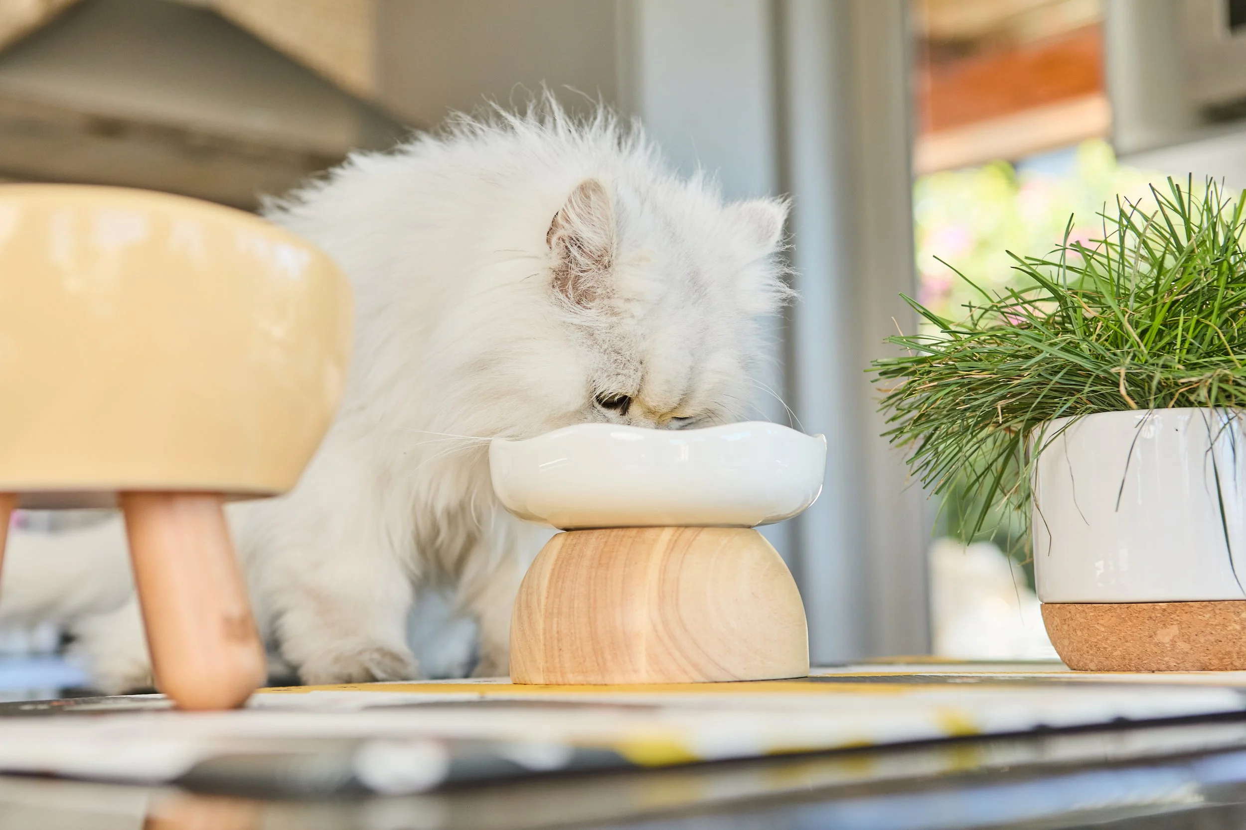 SellerX-08.12.25 431.jpg