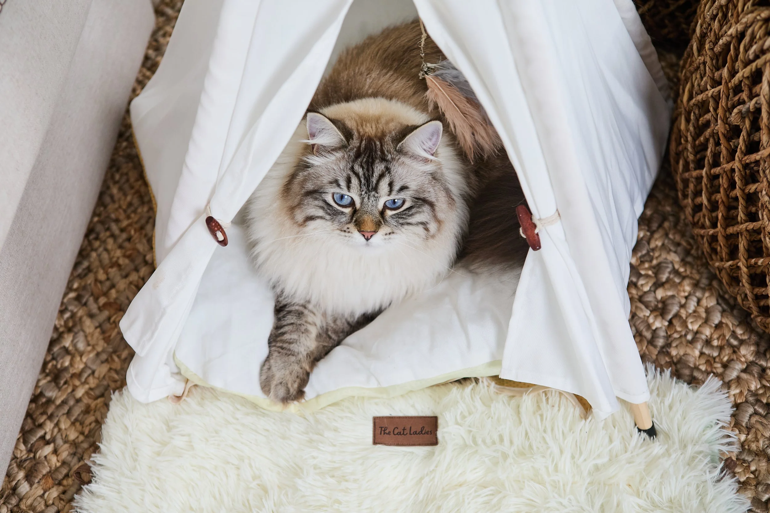 SellerX-09.12.25 142.jpg