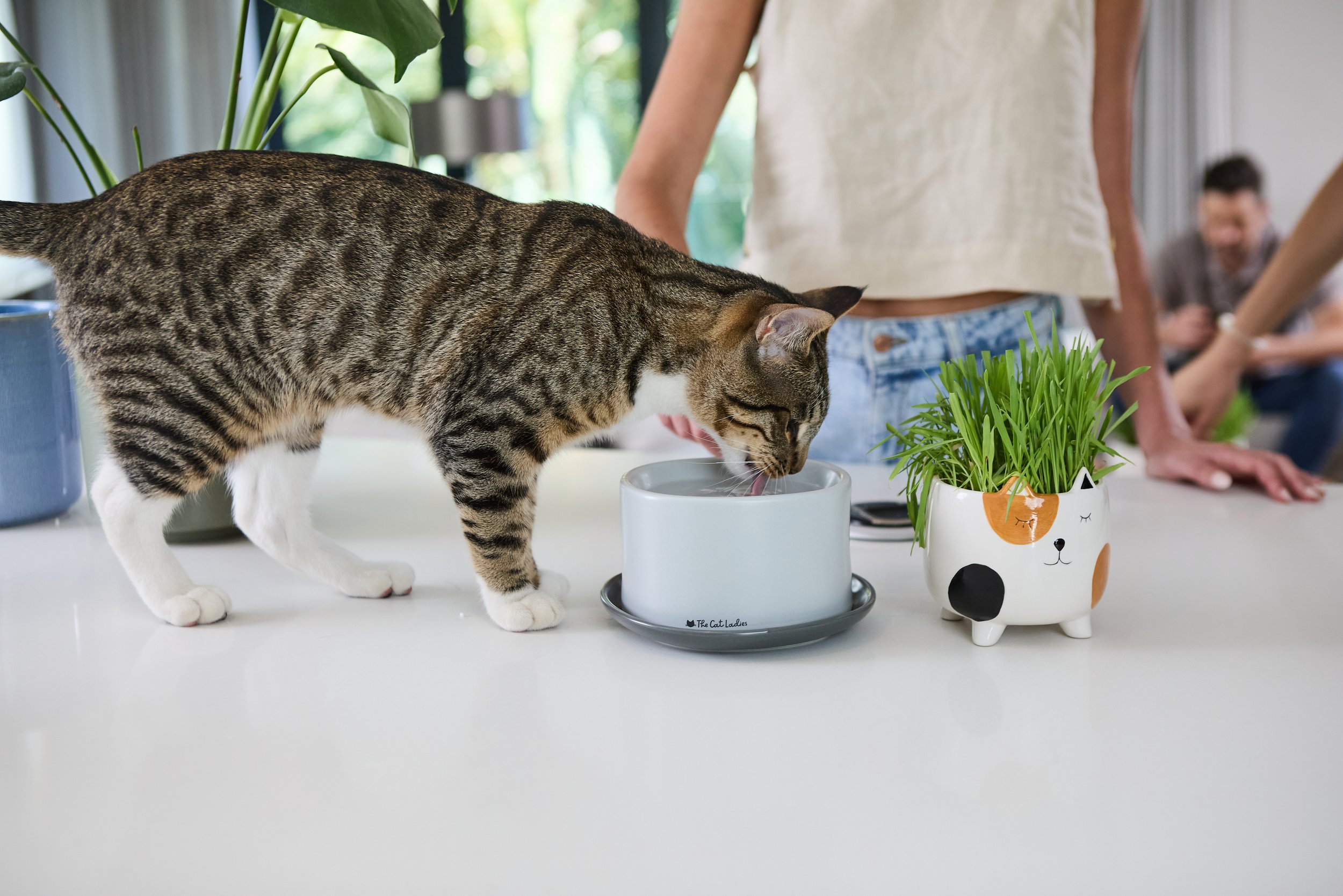 sellerX-day4 479.jpg