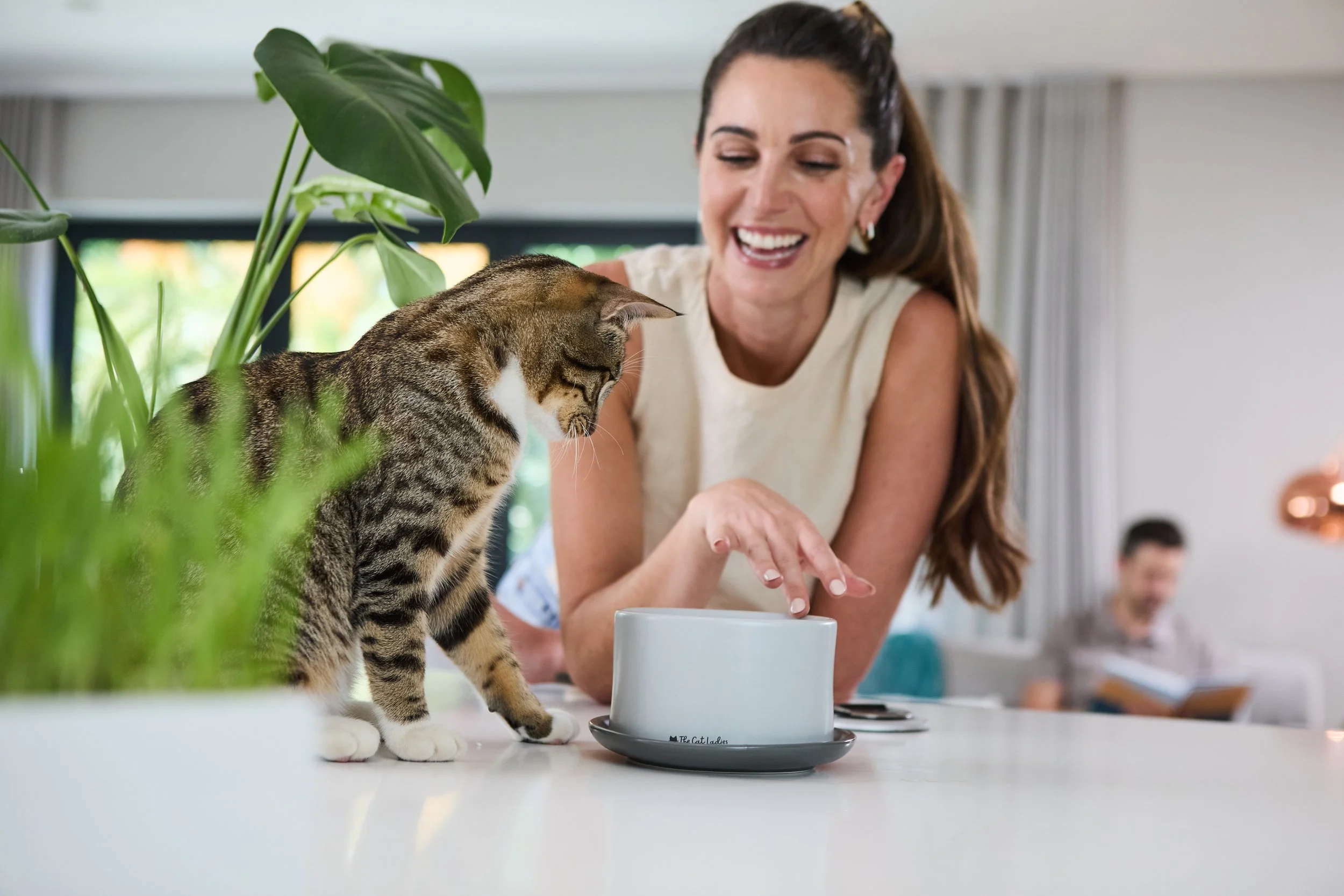 The Cat Ladies lifestyle