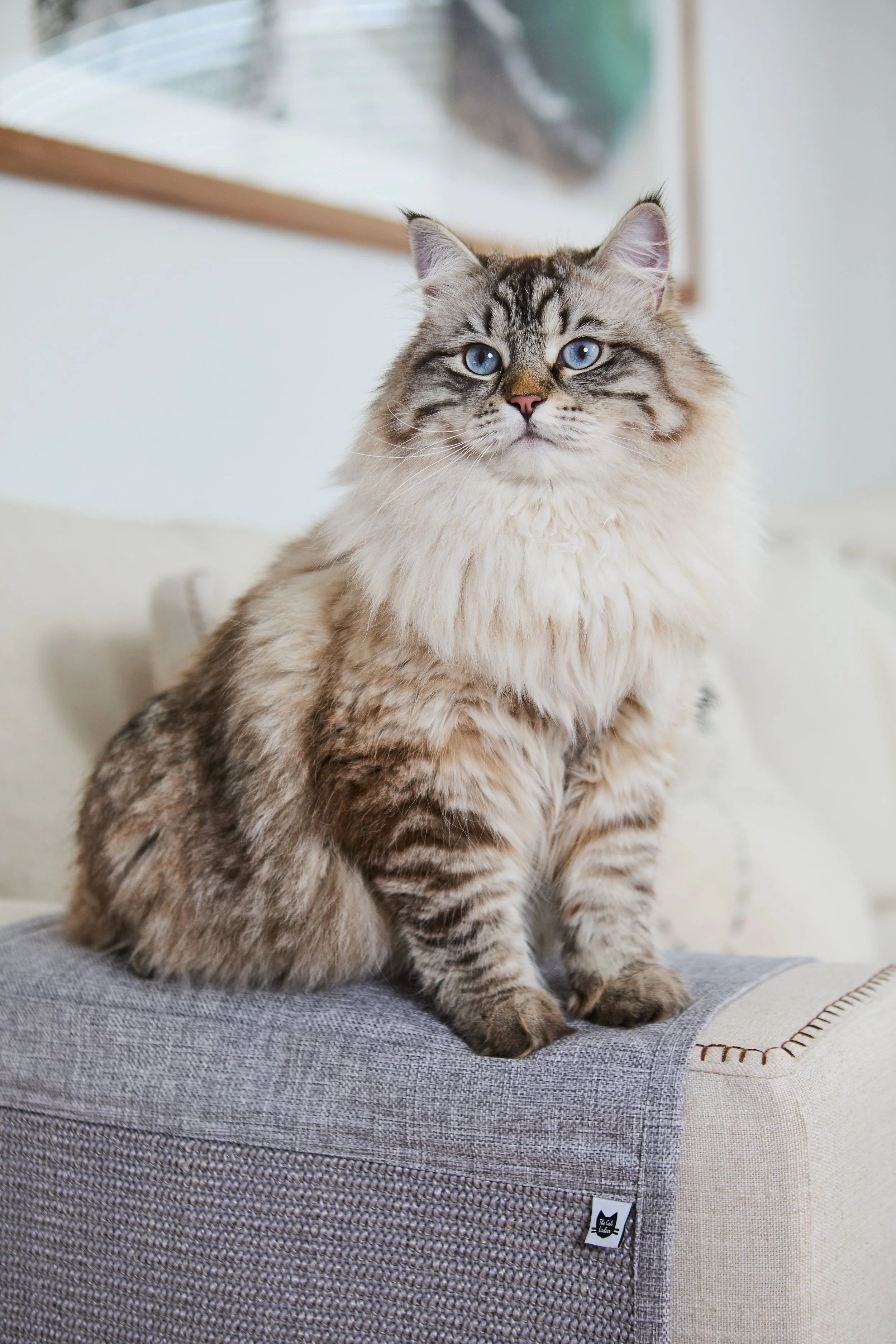 SellerX-09.12.25 129.jpg