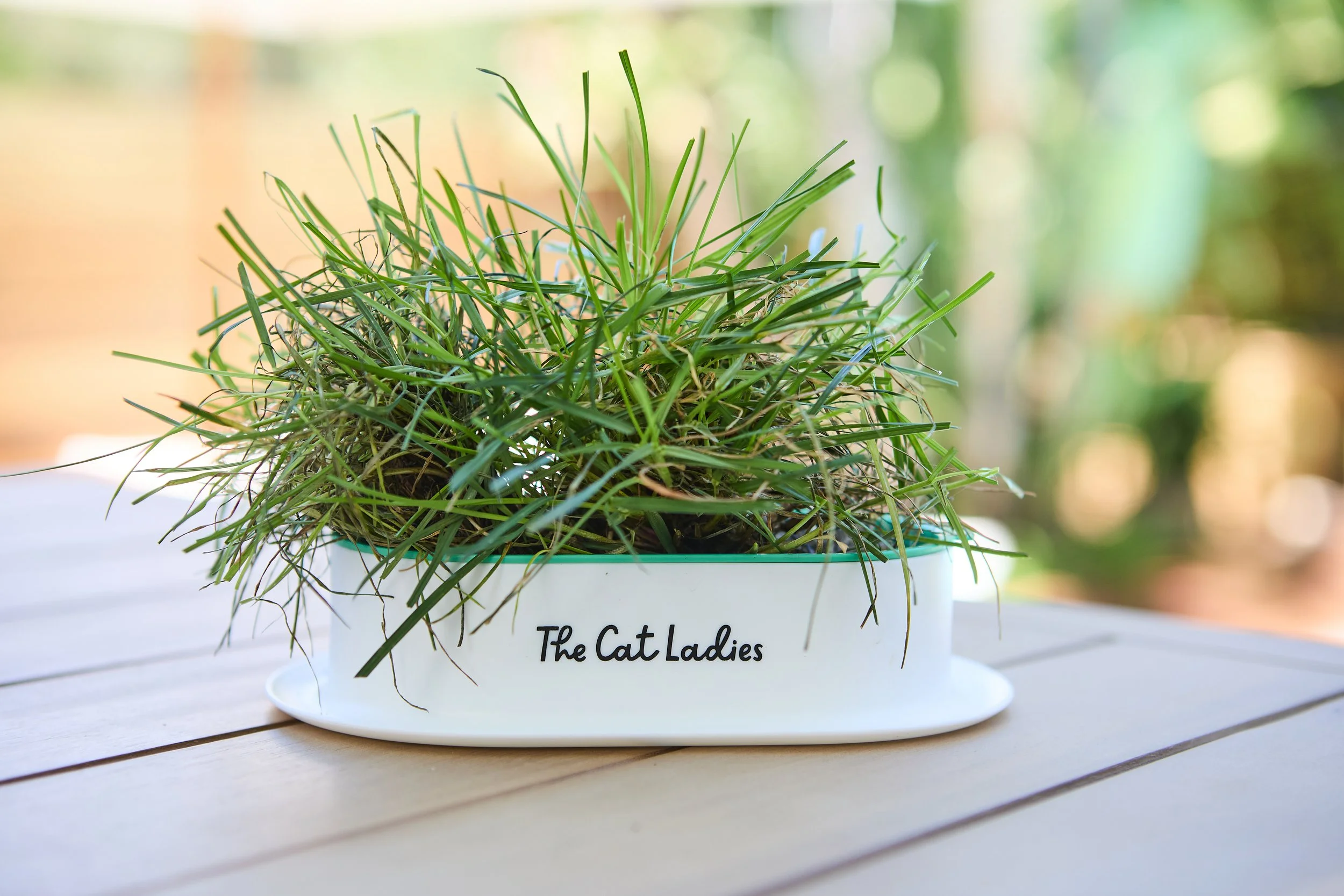 SellerX-09.12.25 363.jpg