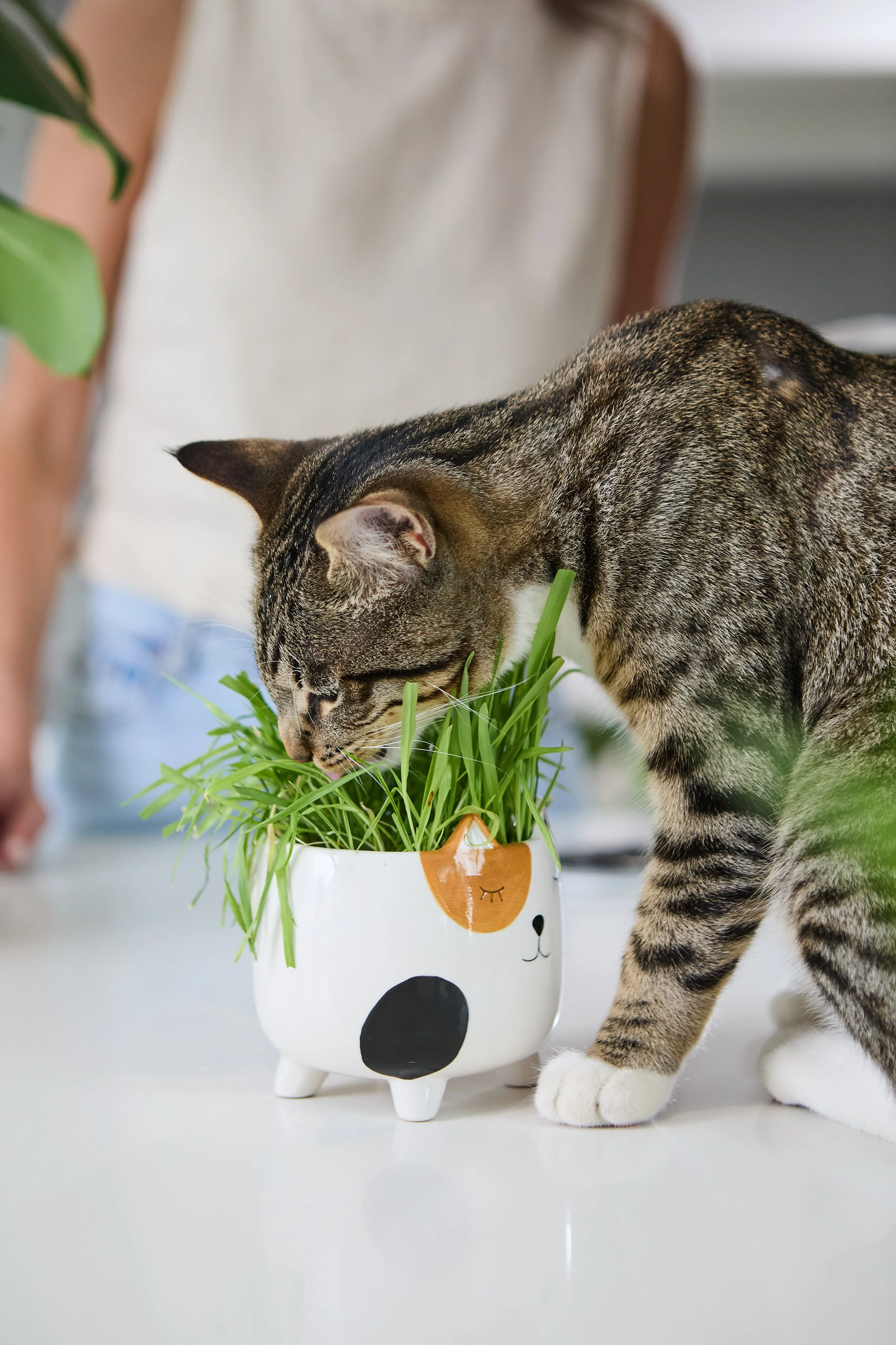 sellerX-day4 438.jpg