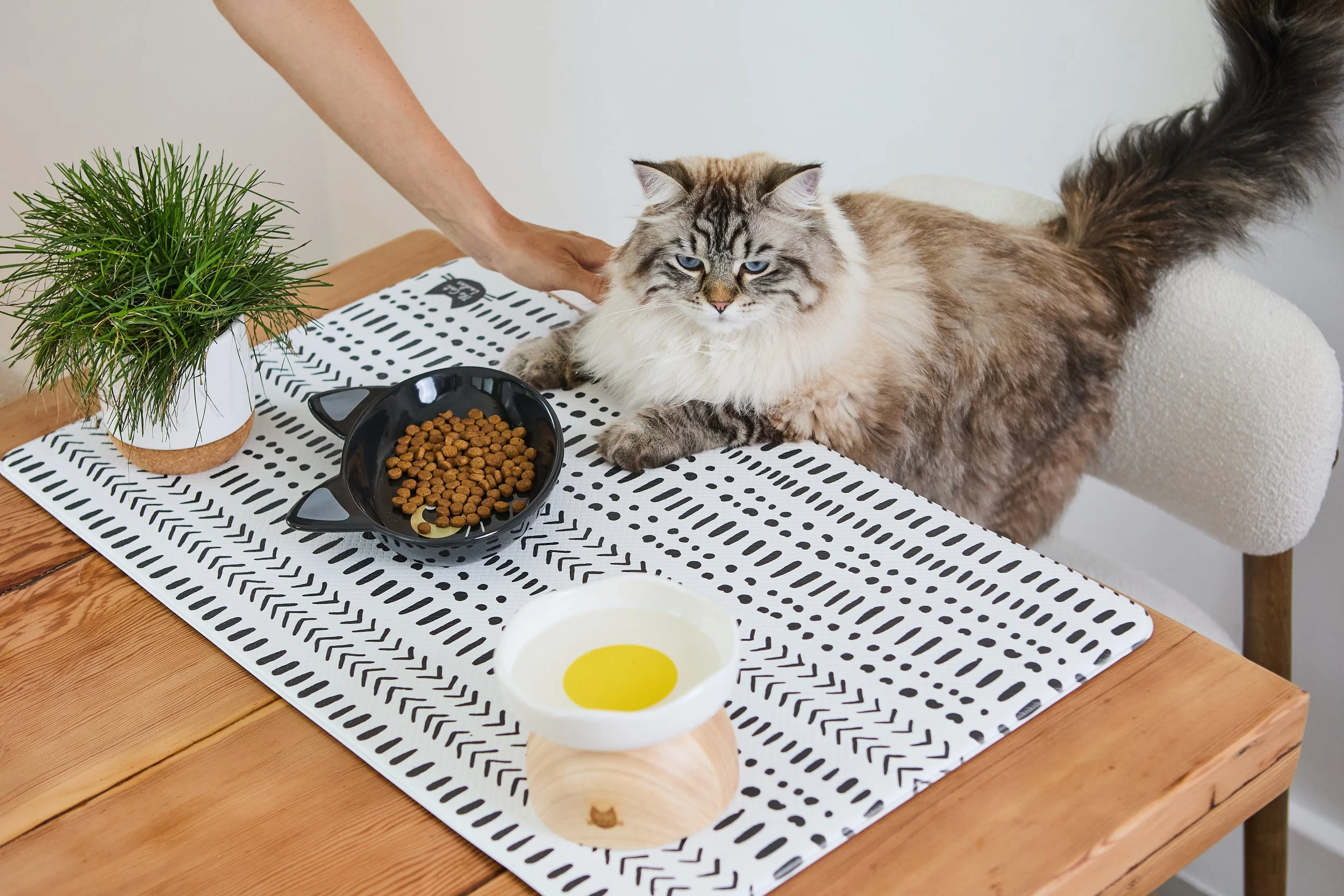 SellerX-09.12.25 191.jpg