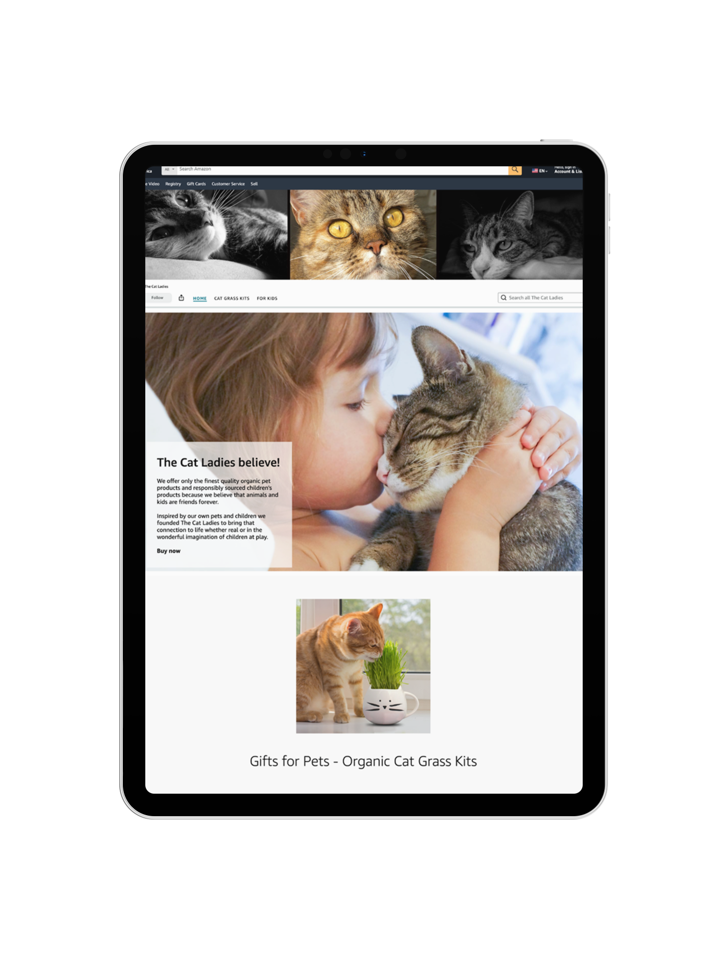 The Cat Ladies original storefront