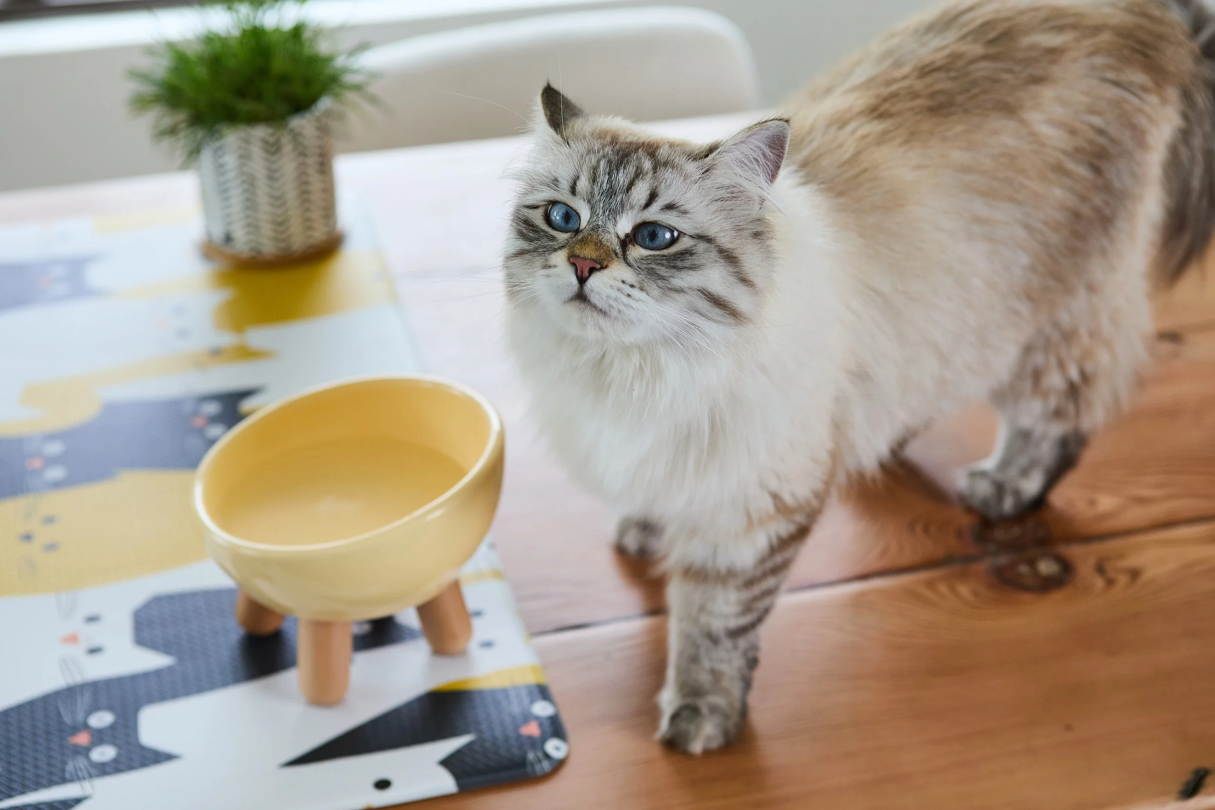 SellerX-09.12.25 189.jpg