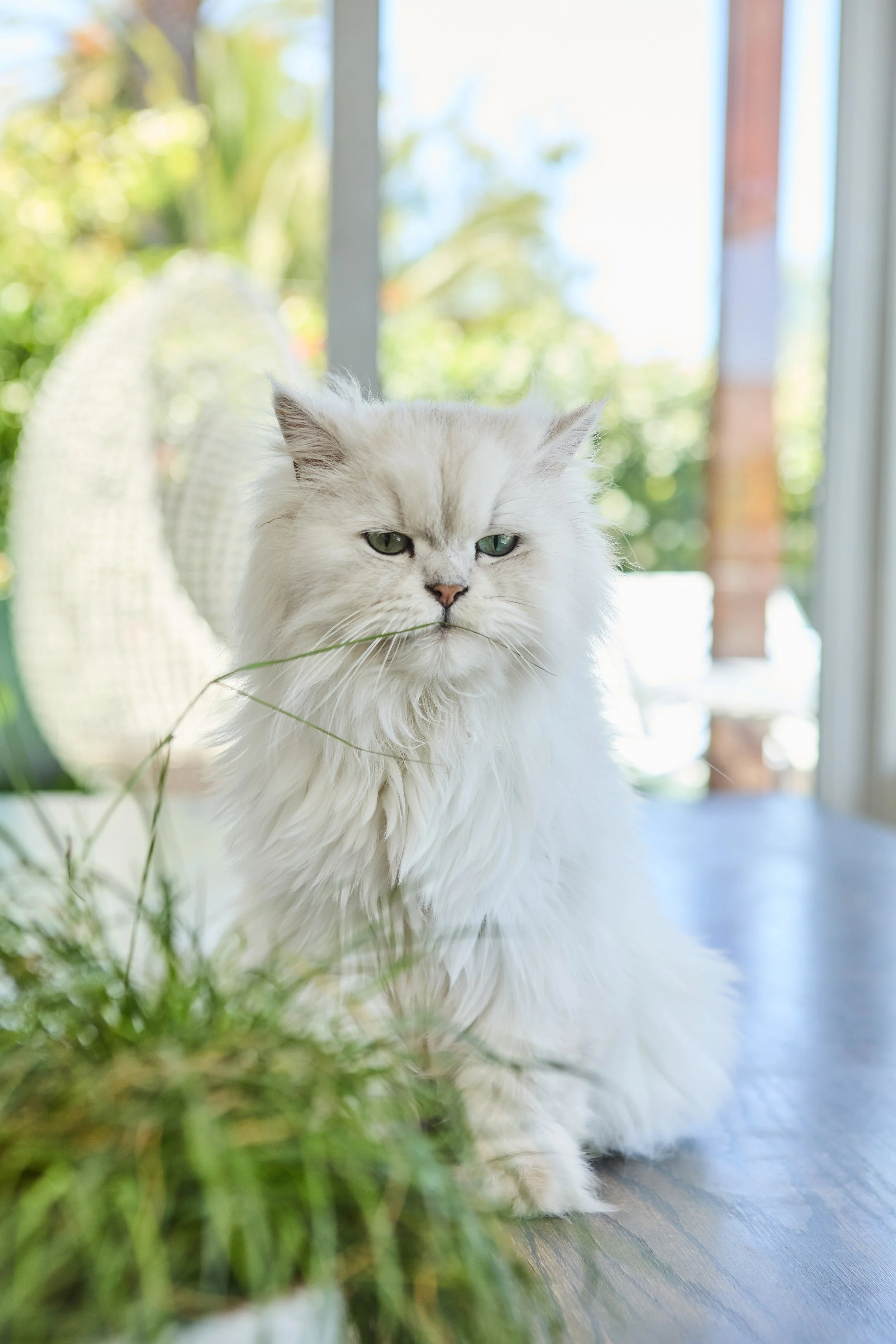 SellerX-08.12.25 248.jpg