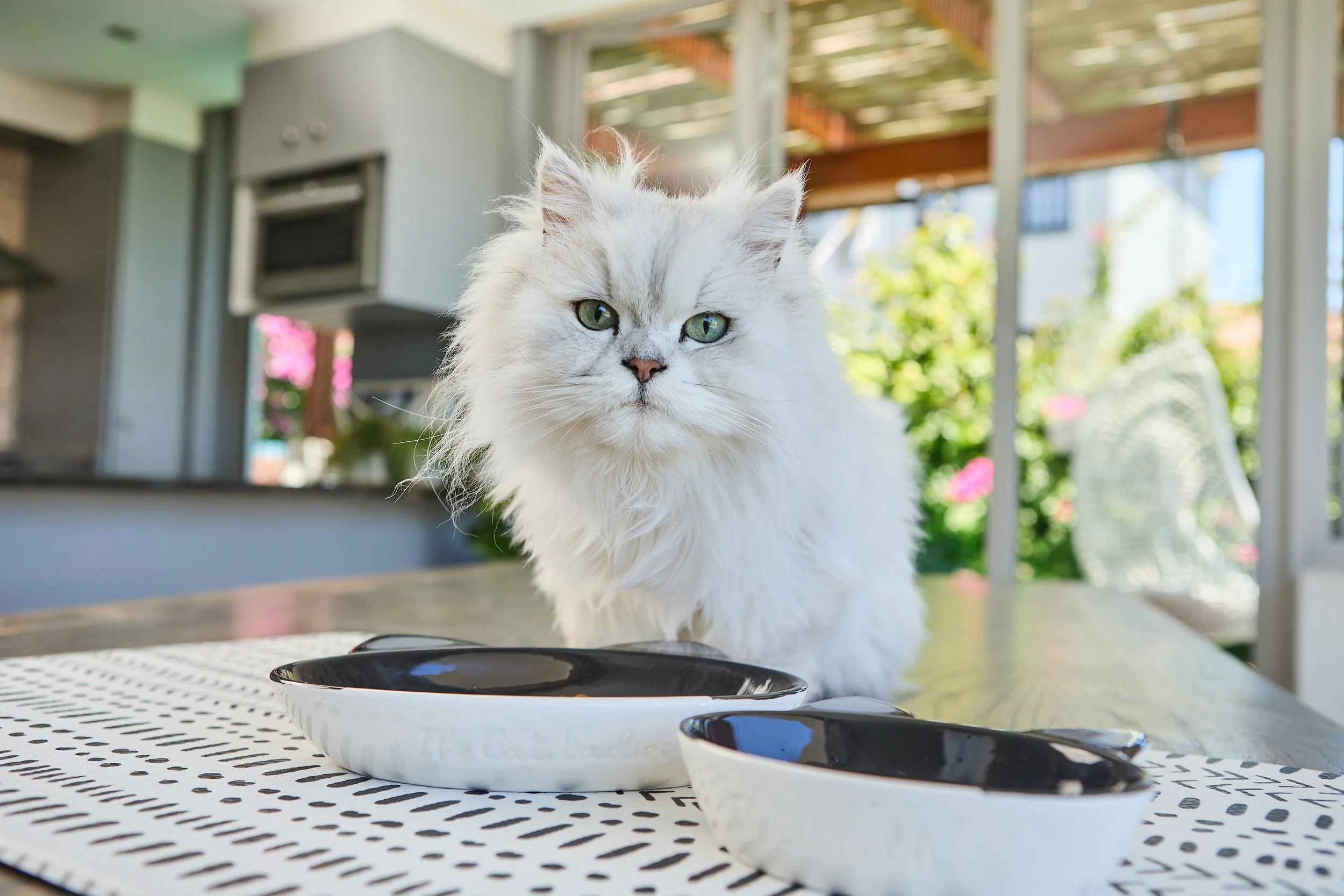 SellerX-08.12.25 169.jpg