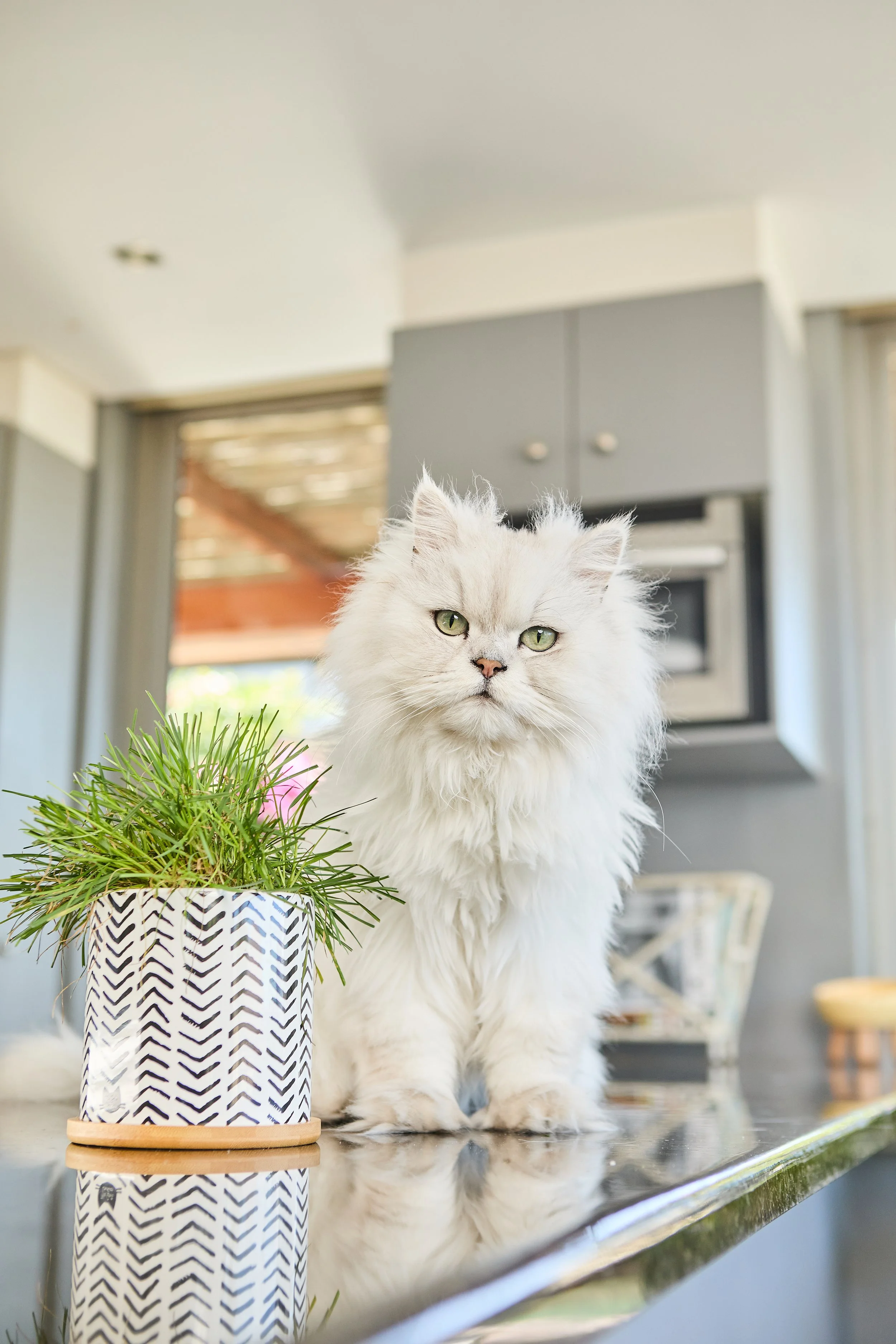 SellerX-08.12.25 408.jpg