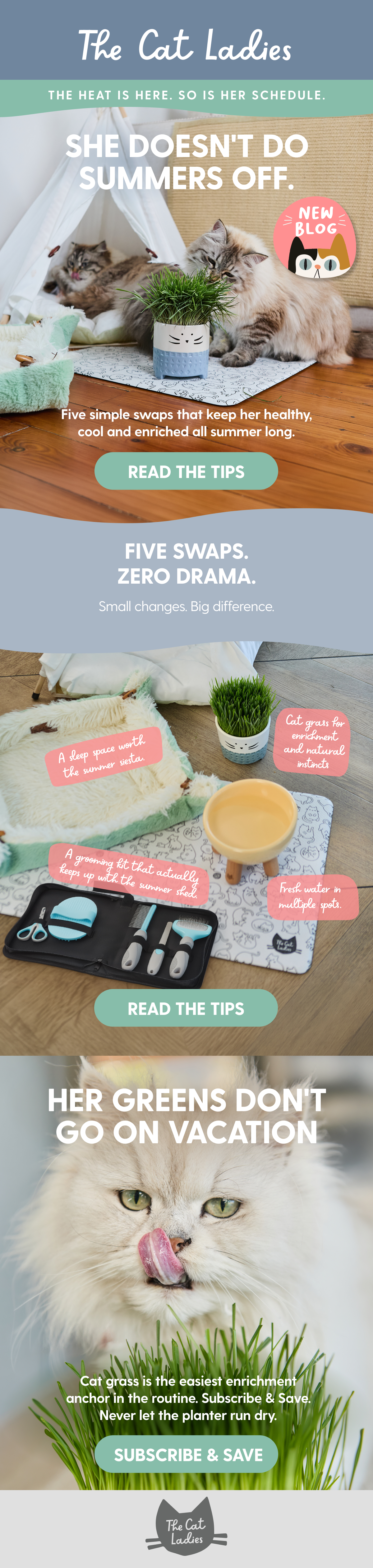 The Cat Ladies CRM mailer