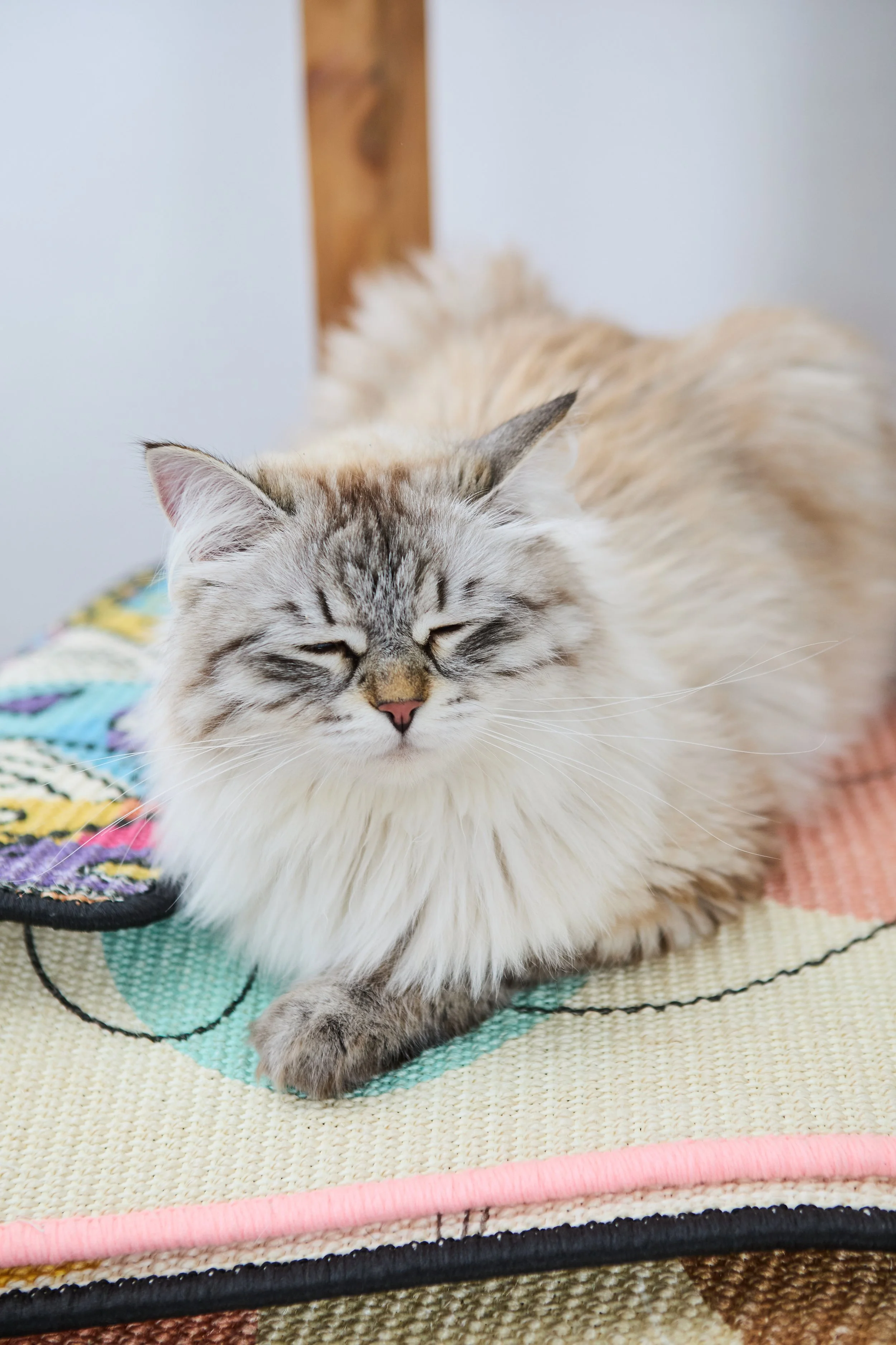 SellerX-09.12.25 360.jpg