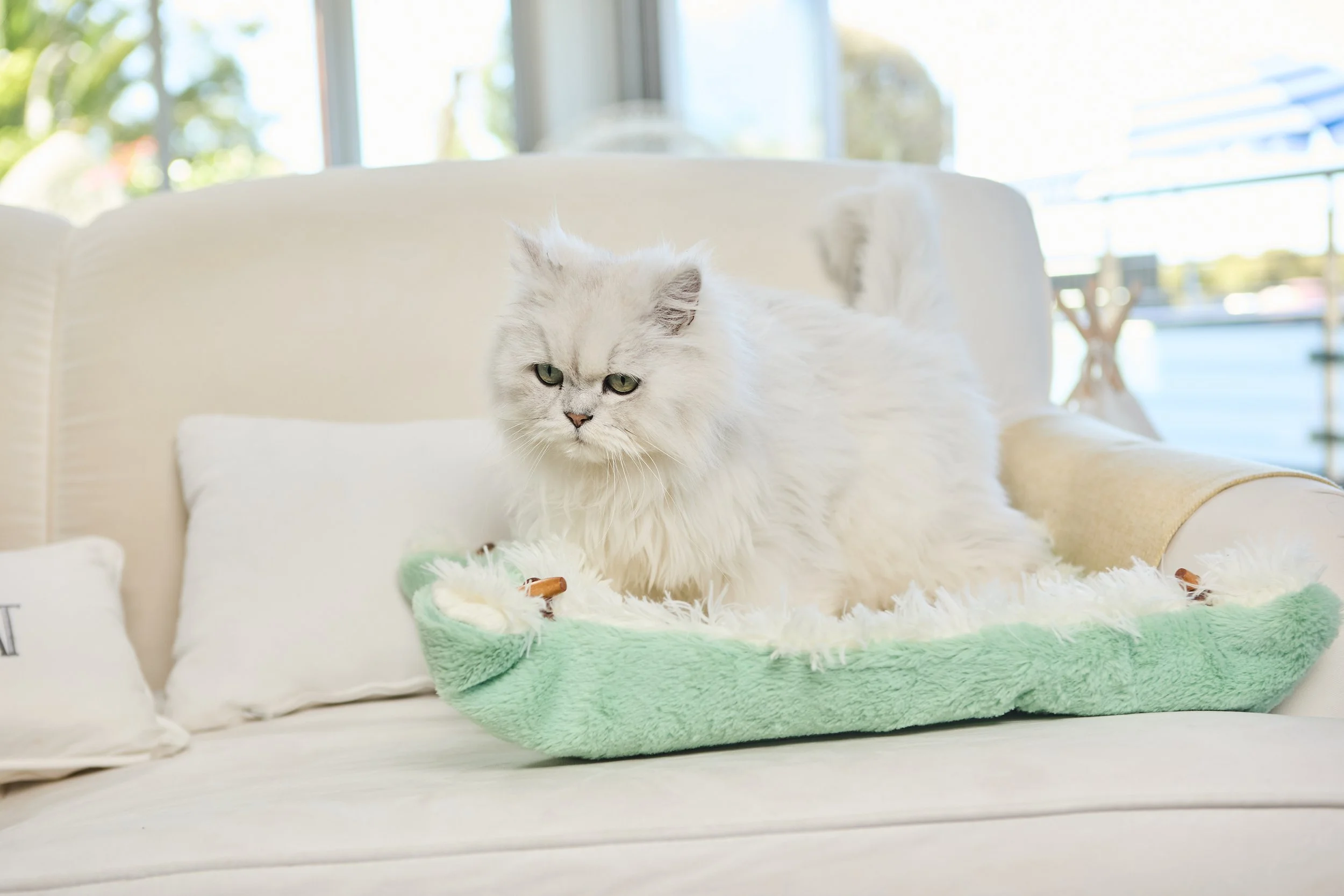 SellerX-08.12.25 525.jpg