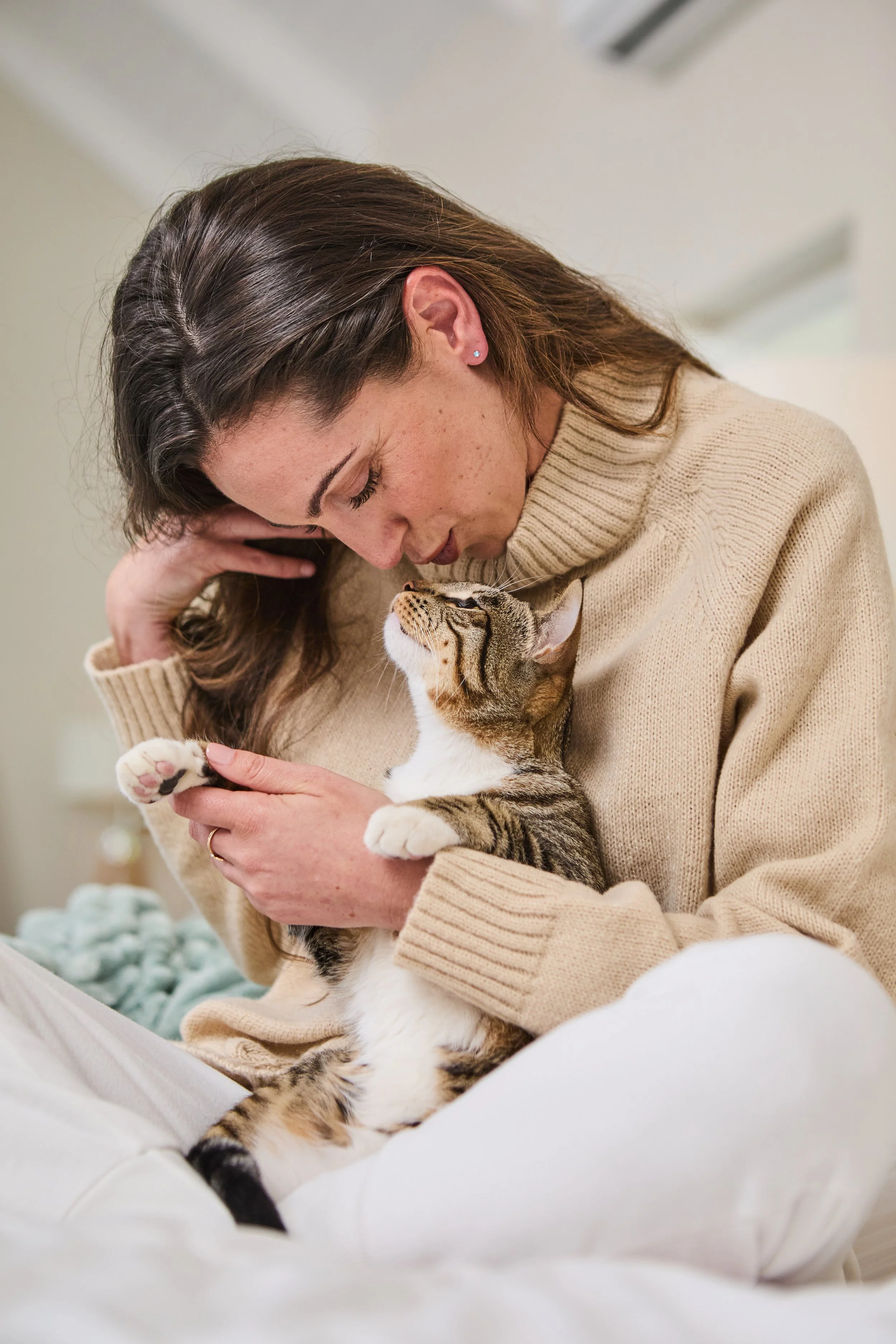 The Cat Ladies lifestyle