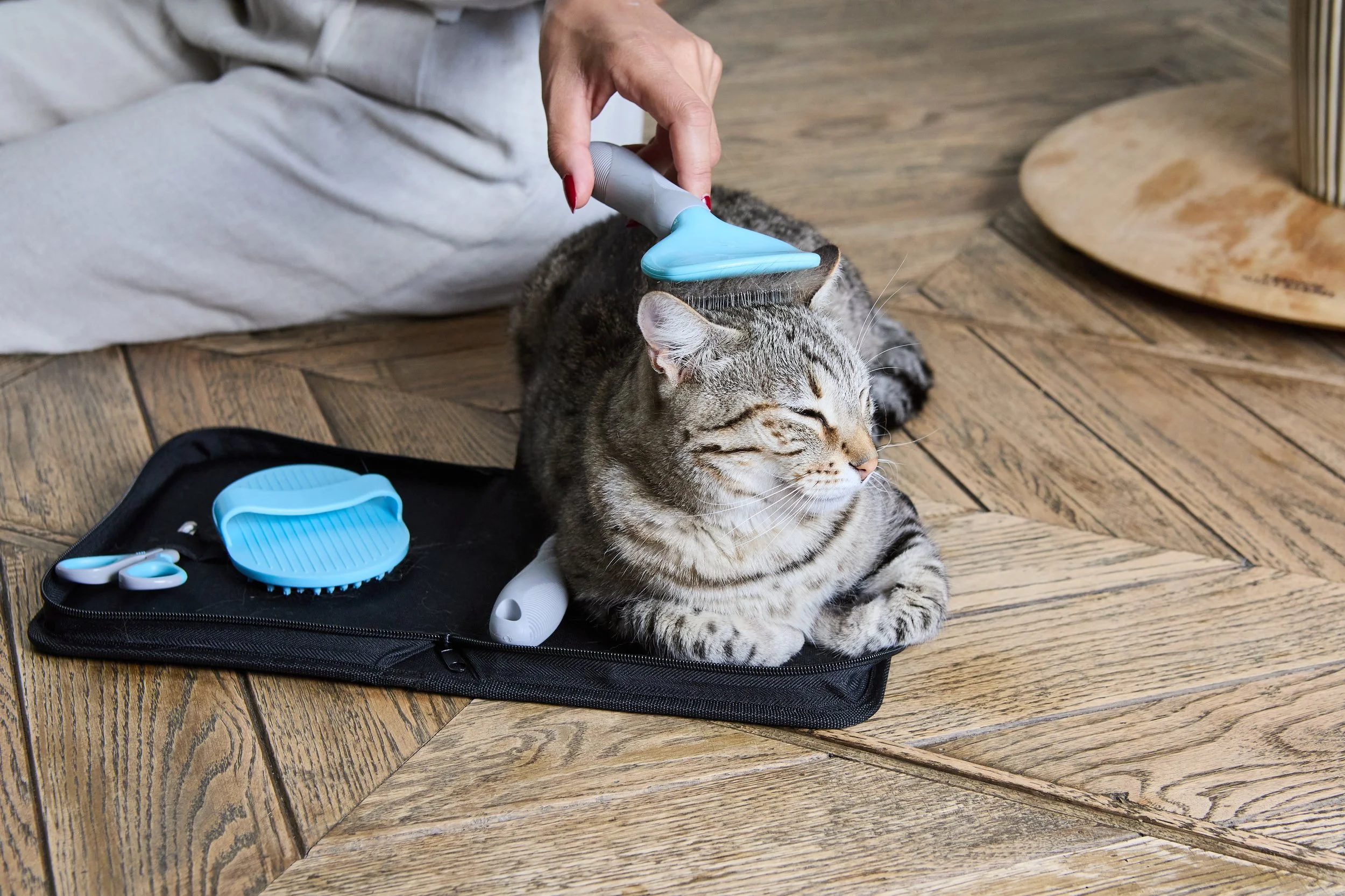 CatLadies_27.01.25 295.jpg