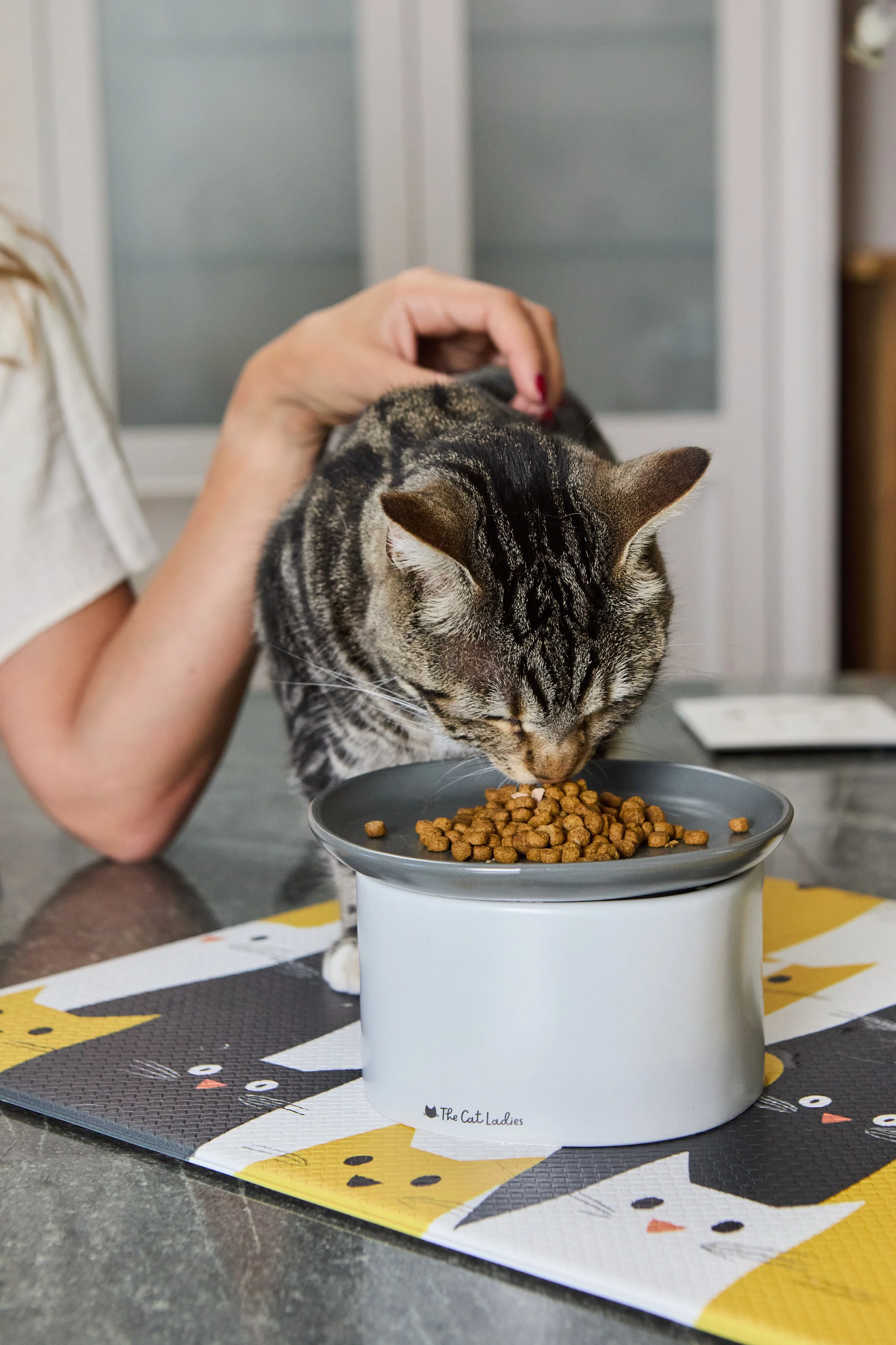 CatLadies_27.01.25 137.jpg