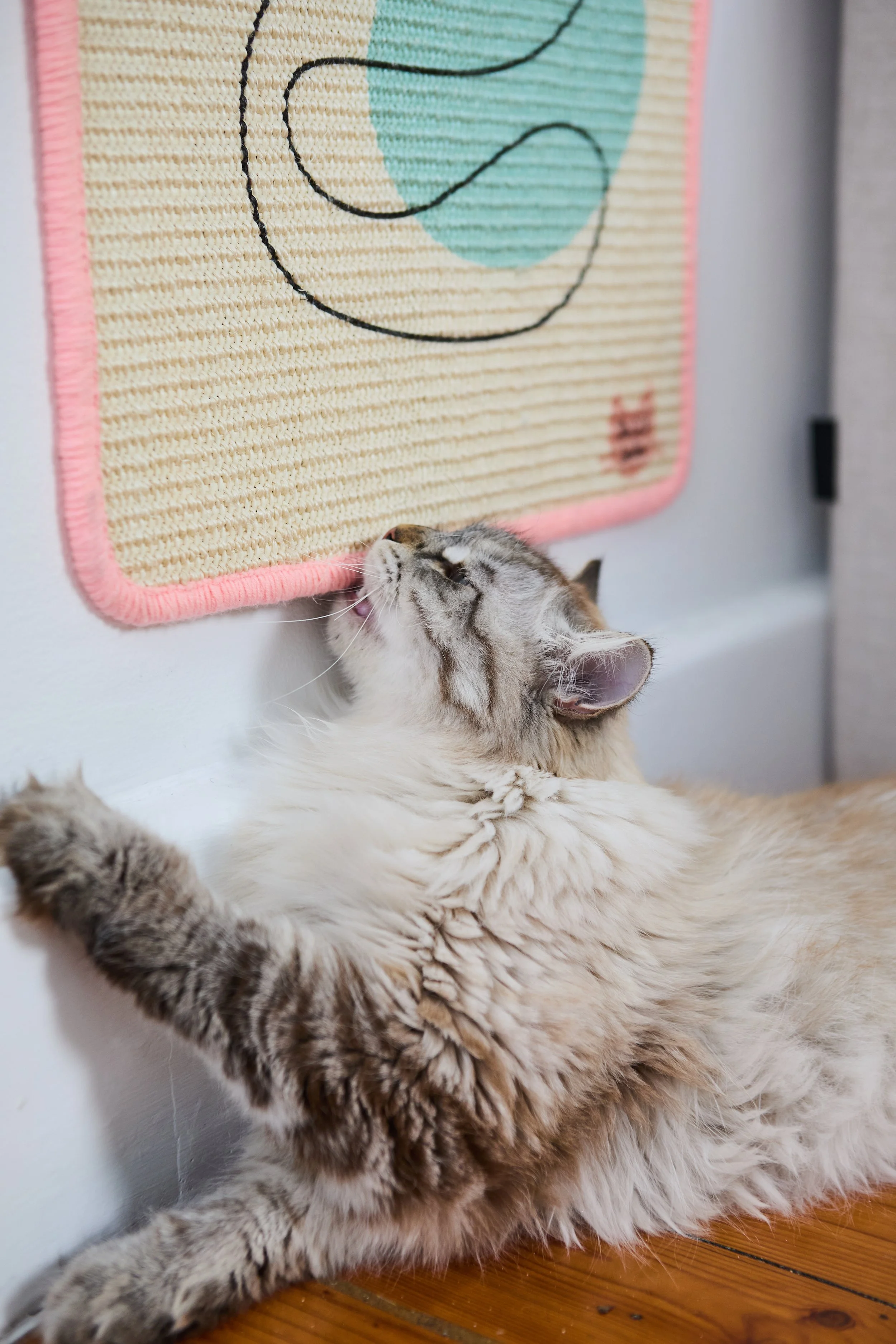 SellerX-09.12.25 323.jpg