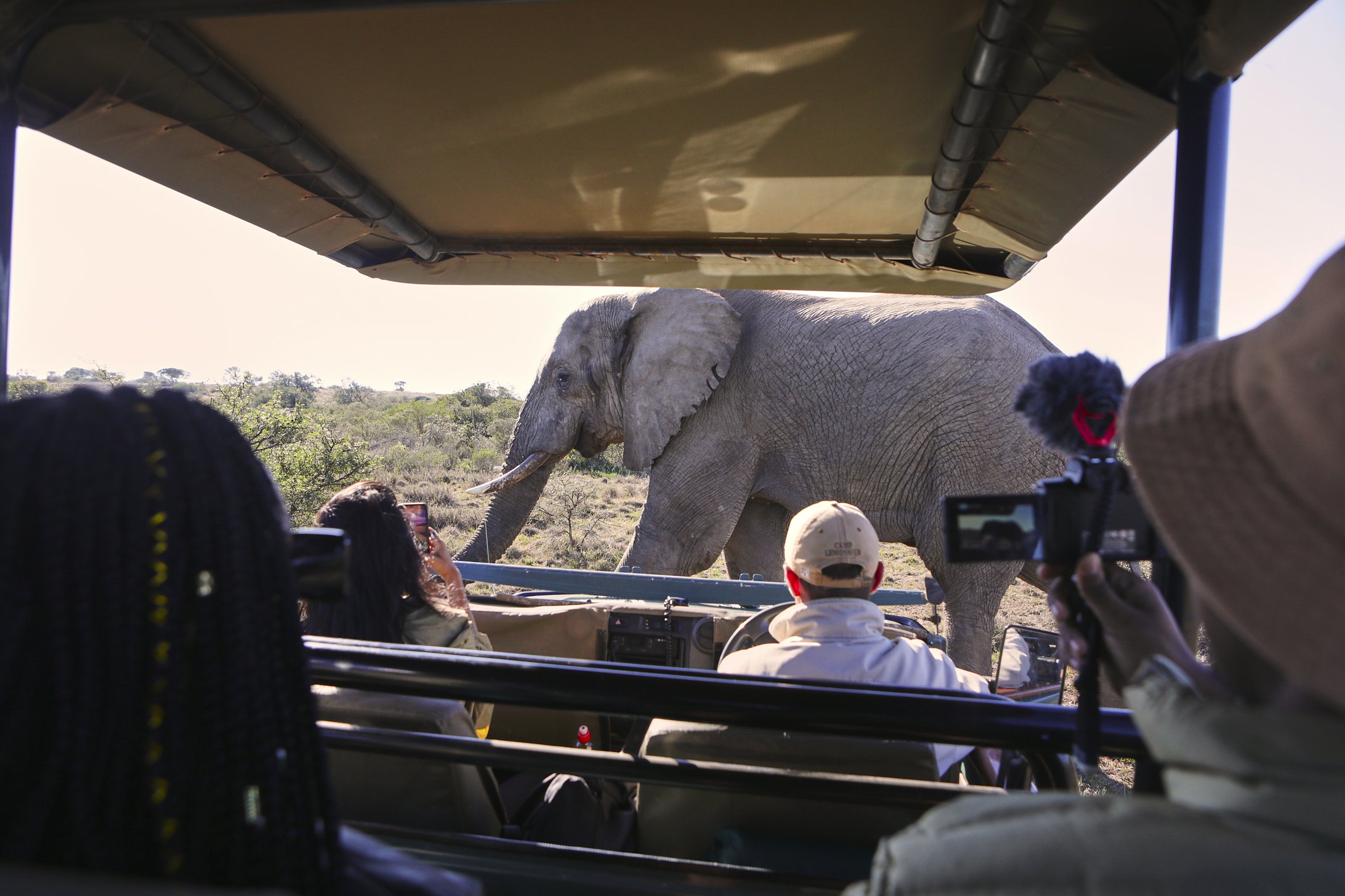 RCC-Safari 678.jpg