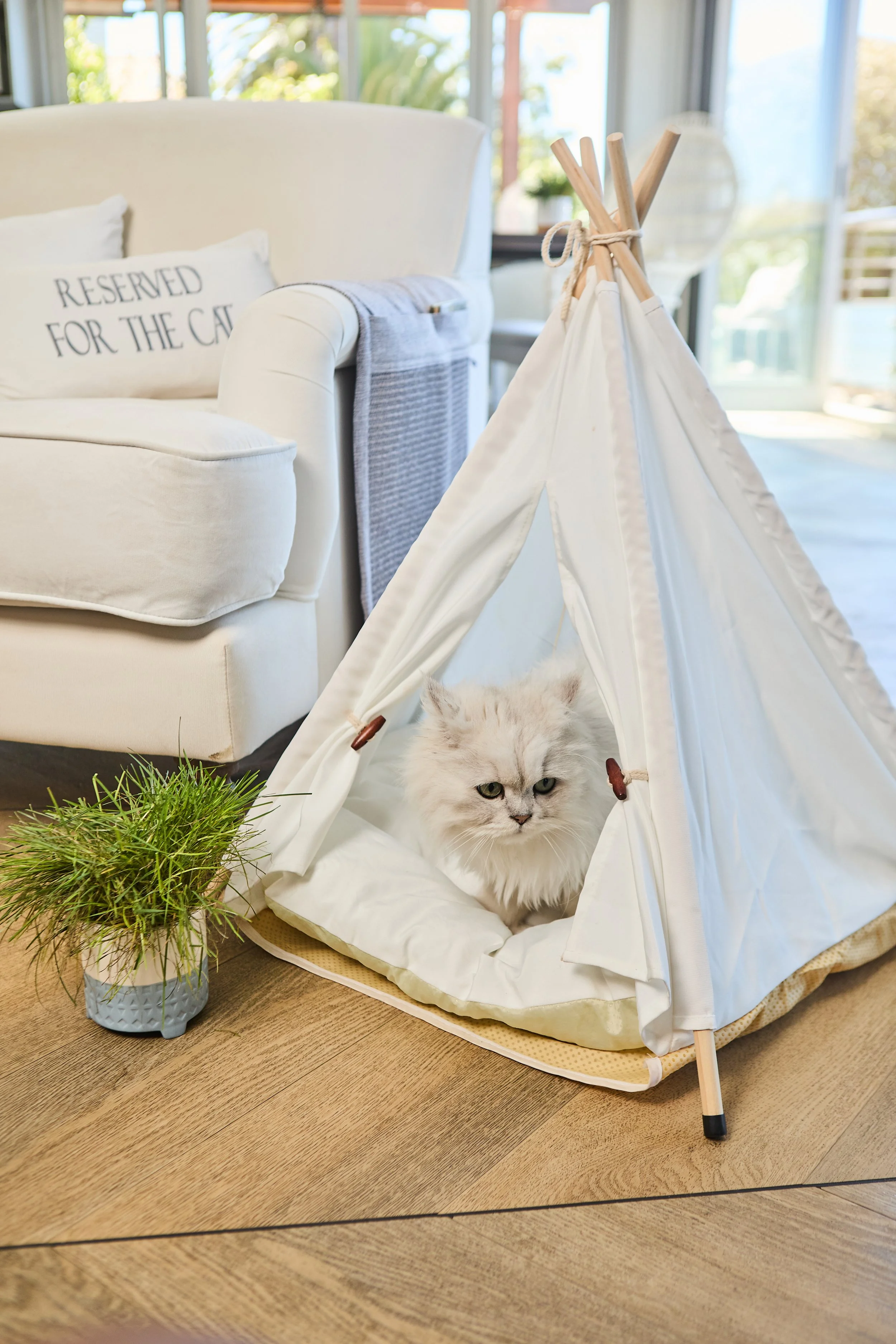 SellerX-08.12.25 297.jpg