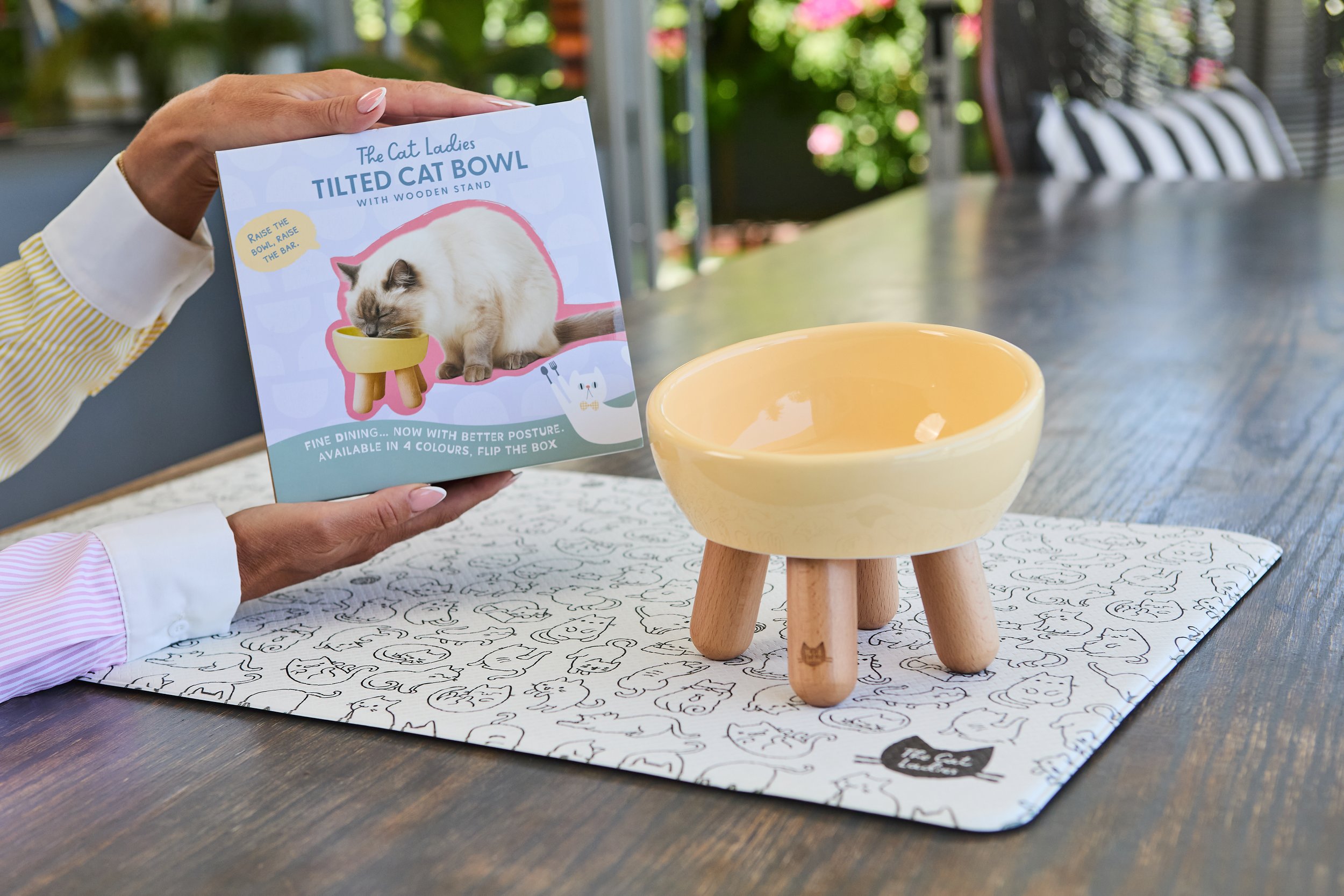 Egg Cat Bowl