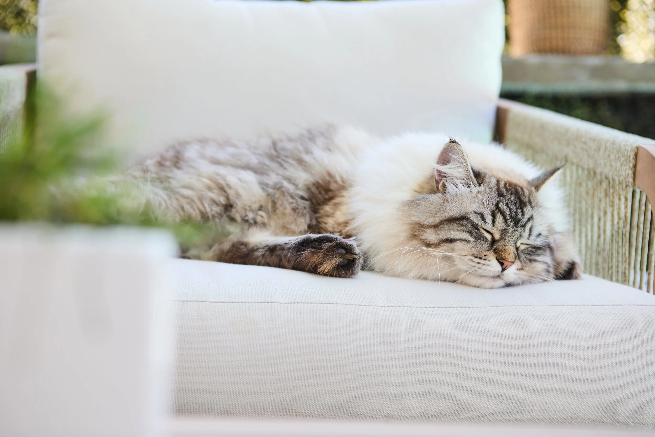 SellerX-09.12.25 385.jpg