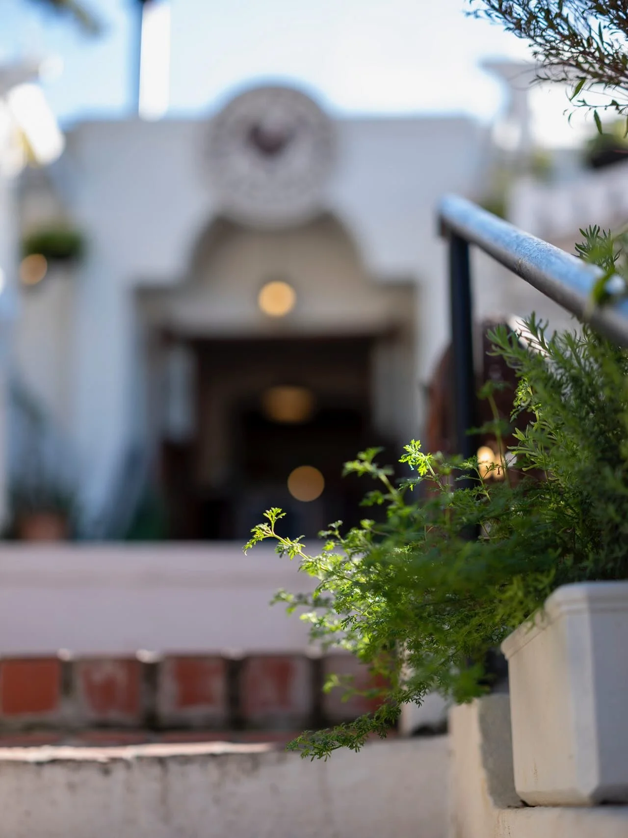 It really is the most perfect day for it today. Come and enjoy our outside terrace area whilst the sun is out 🌞 

@cafe_paradiso_cpt #cafeparadiso #restaurant #cafe #capetown #southafrica #bar #allyours @all.yours.co