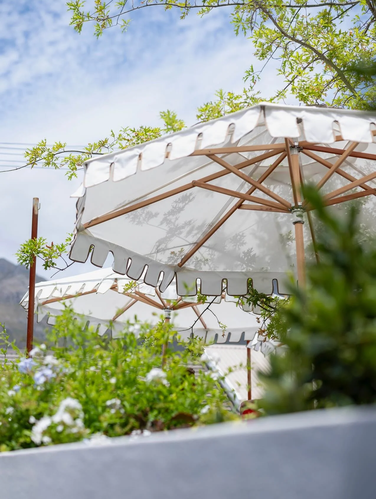 The sun is out this weekend!!! Be sure to join us for both Saturday &amp; Sunday for some easy listening music in our garden. Weather dependent this will happen every weekend between 2pm and 6pm 🌿🎺🌞🎵🍸🍺

@cafe_paradiso_cpt #cafeparadiso #restaur