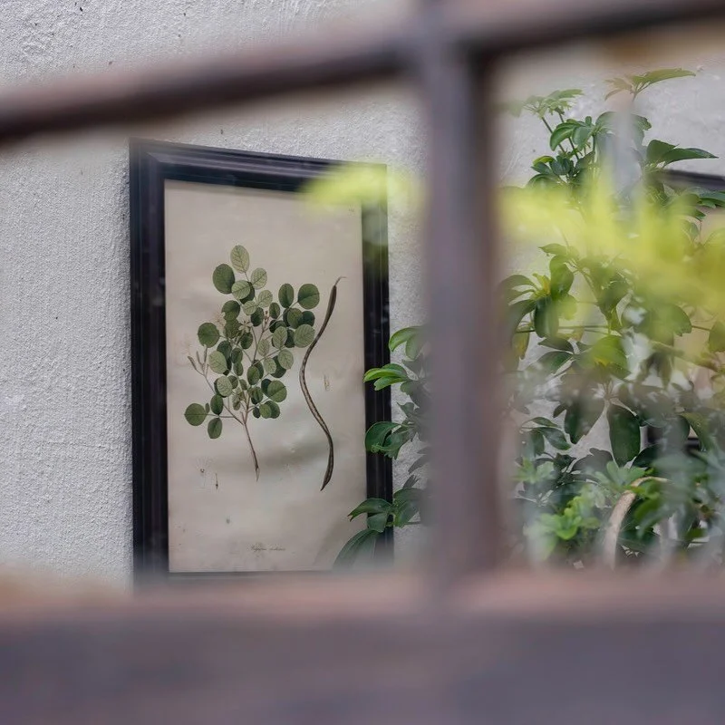 We really enjoy some of the quieter and decorative nooks our restaurant has to offer, especially the detail 🌿

@cafe_paradiso_cpt #cafeparadiso #restaurant #cafe #bar #capetown #southafrica @all.yours.co