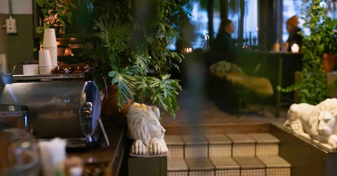 We&rsquo;re in love with our beautiful cafe and our array of greenery that keep things looking fresh 🌿

@thepowerandtheglory #thepowerandtheglory #restaurant #cafe #bar #capetown #southafrica #png @all.yours.co