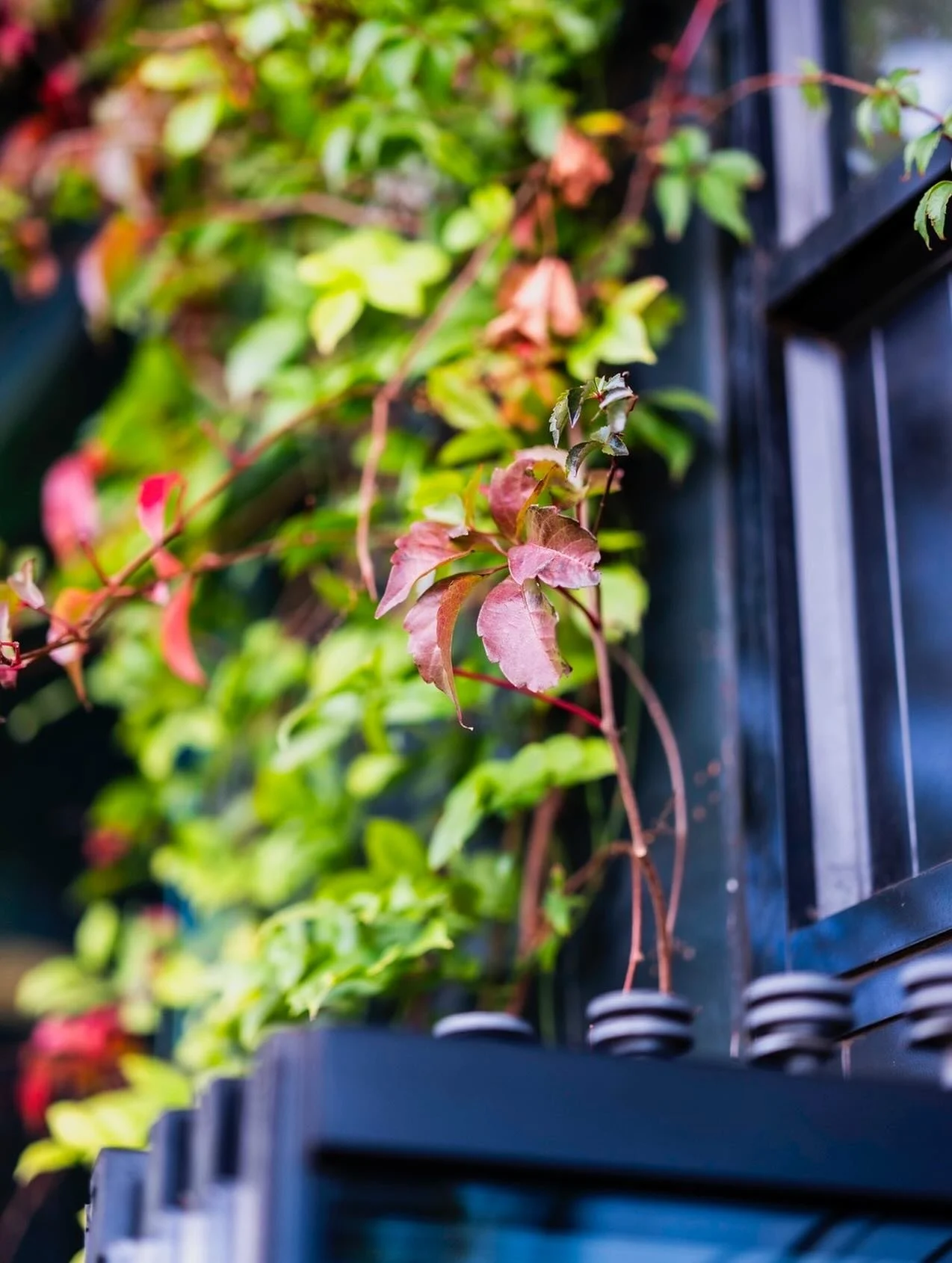 What a wonderful weekend just passed. Thanks to everyone who came and enjoyed it with us 🍸🍾⚡️

Wishing everyone a bright &amp; happy Monday 🌿 and letting you know we have a new menu with breakfast, lunch &amp; dinner as well as some delectable bak