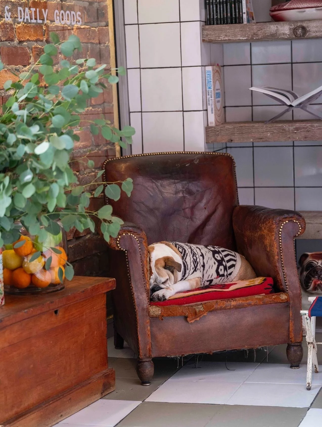 We truly believe there are few places better on Mondays. Actually, we feel the same about everyday. 🐶🌱🪩🍸☕️

@kioskcommunity #kiosk #cafe #restaurant #bar #grocer #conveniencestore #capetown #southafrica