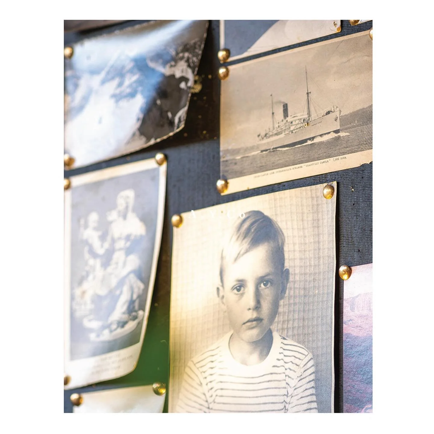 @thepowerandtheglory