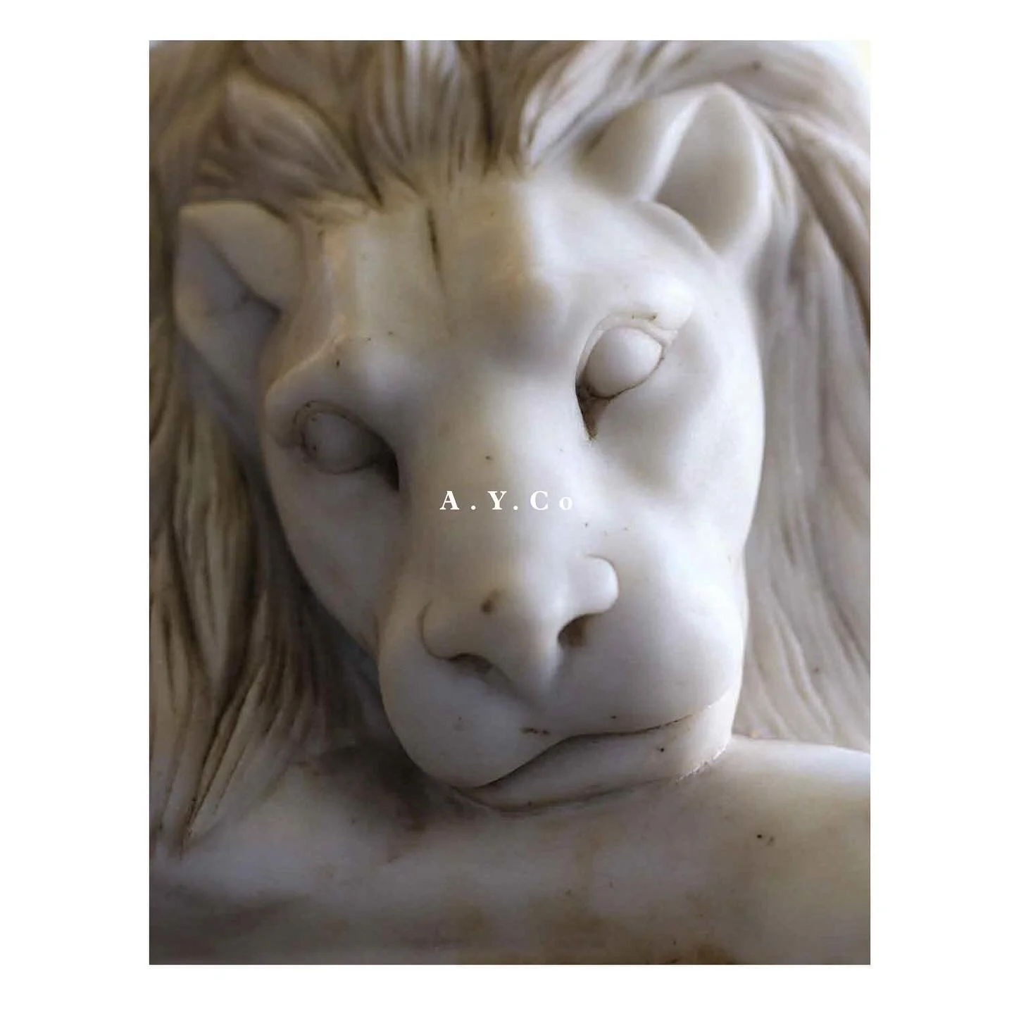 @thepowerandtheglory