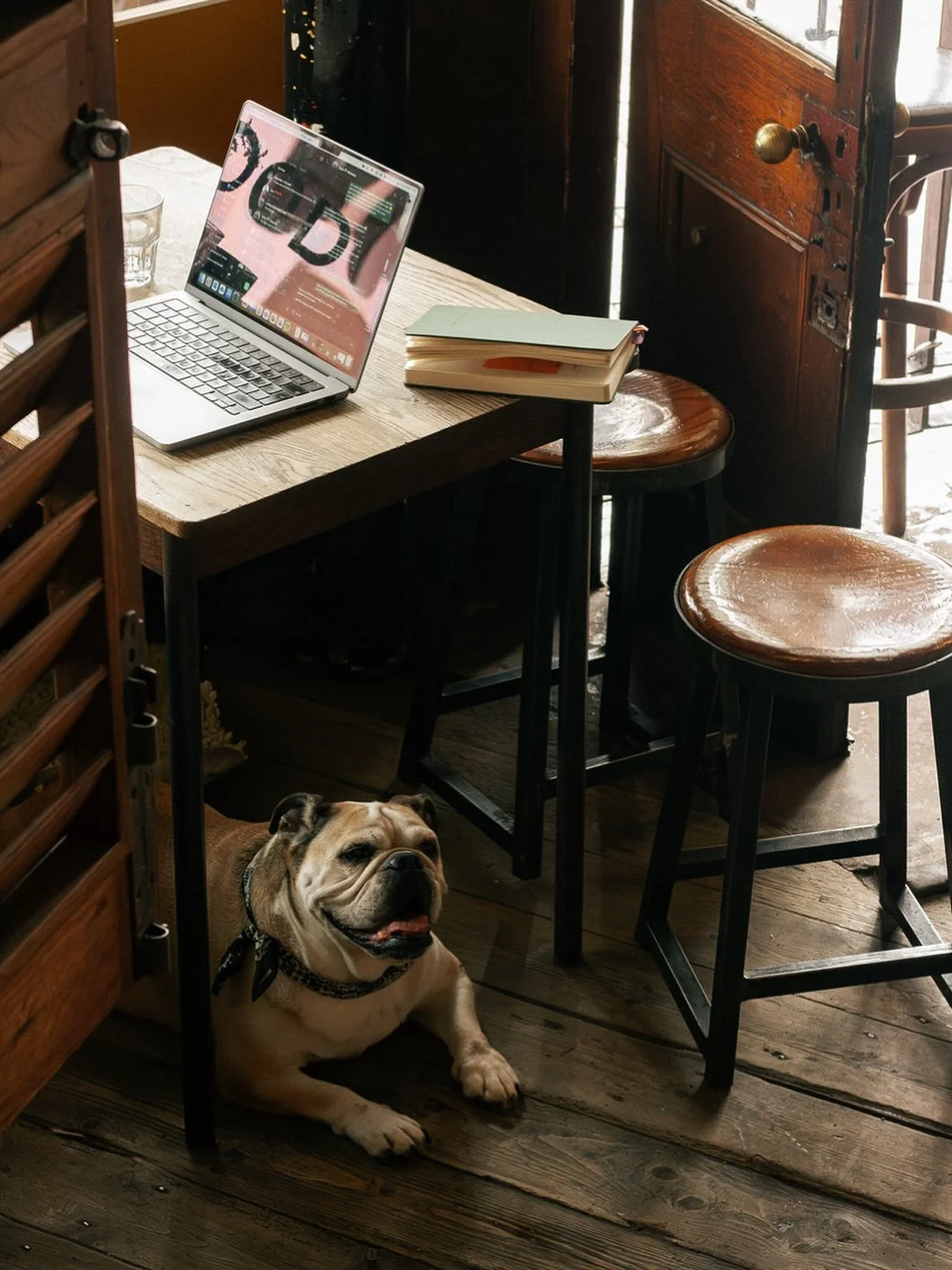 Everyone is welcome, especially our furry friends 🐶🪴🍸☕️

📸 @thepeddiespective 

@thepowerandtheglory #thepowerandtheglory #cafe #restaurant #bar #capetown #southafrica #allyours #theblackram @t.h.e.p.o.w.e.r.a.b.o.v.e @all.yours.co