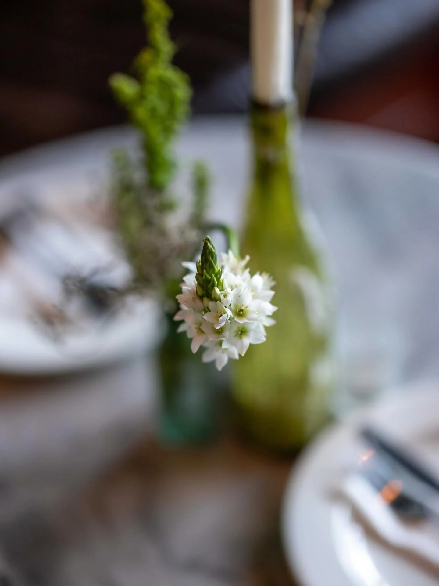 Bright, fresh and prepared for a wonderful service. See you here 🌿🍸🪩

@c__a__r__g__o #cargo #cafe #bar #restaurant #capetown #southafrica @all.yours.co