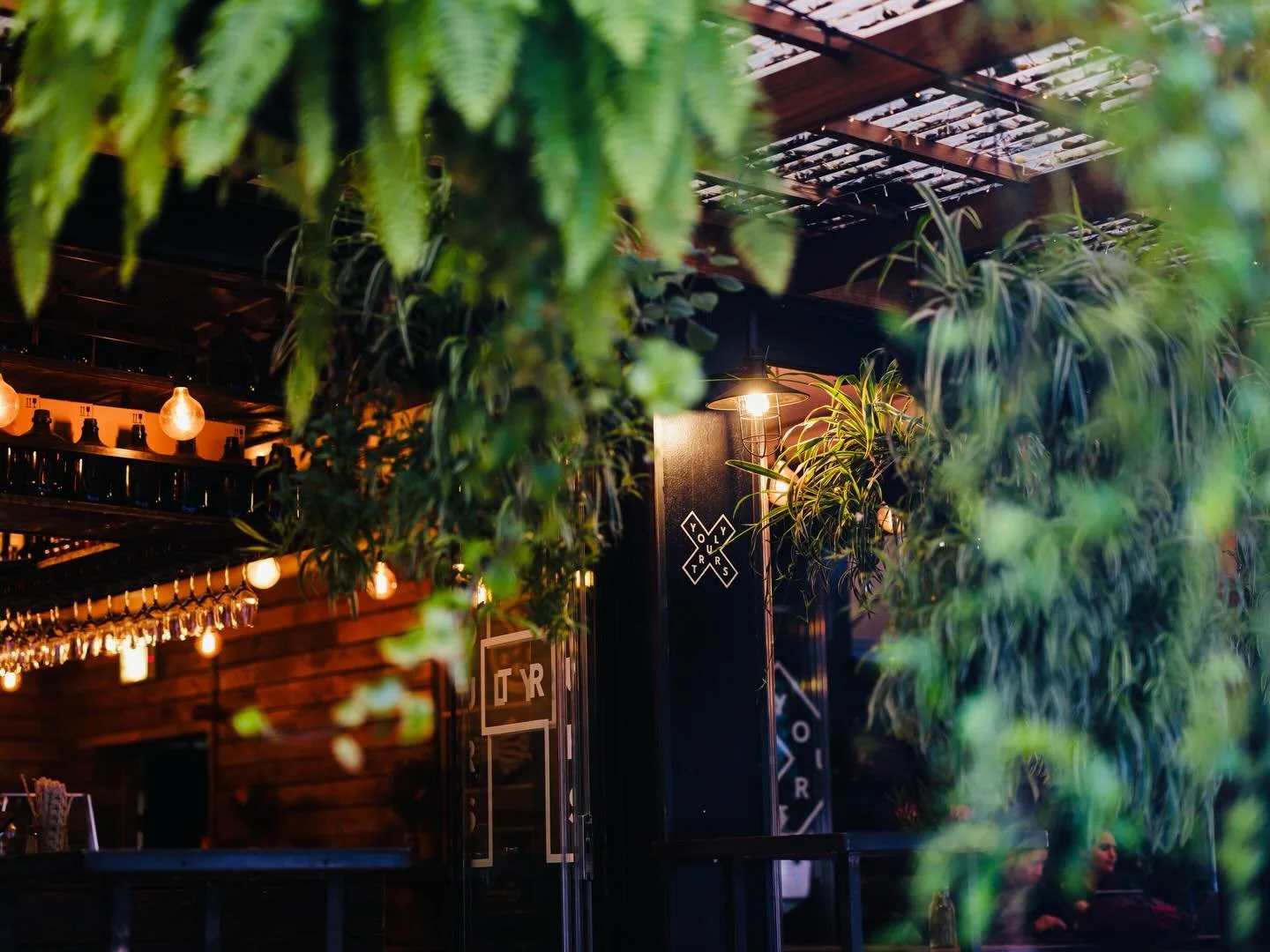 Sitting beneath the shade during the day transforms into a magical and enchanting space by night 🪴🎵🍸

@yourstrulycafe #yourstruly #allyours #thisisyours #sametimetomorrow #restaurant #bar #cafe #allyours @all.yours.co