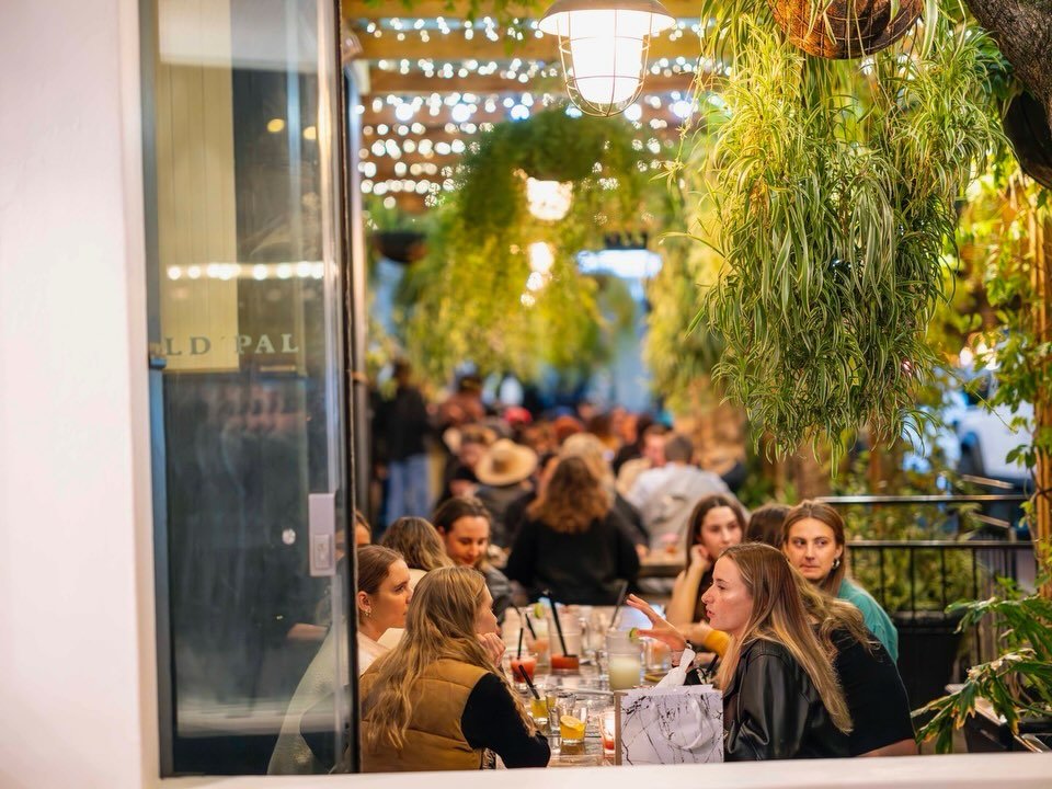 We love our summer season 🌿🌞 Everyone comes out and enjoys the fun 🪩🎵🍸

@yourstrulycafe #ytc #yourstruly #allyours #thisisyours #sanetimetomorrow @all.yours.co