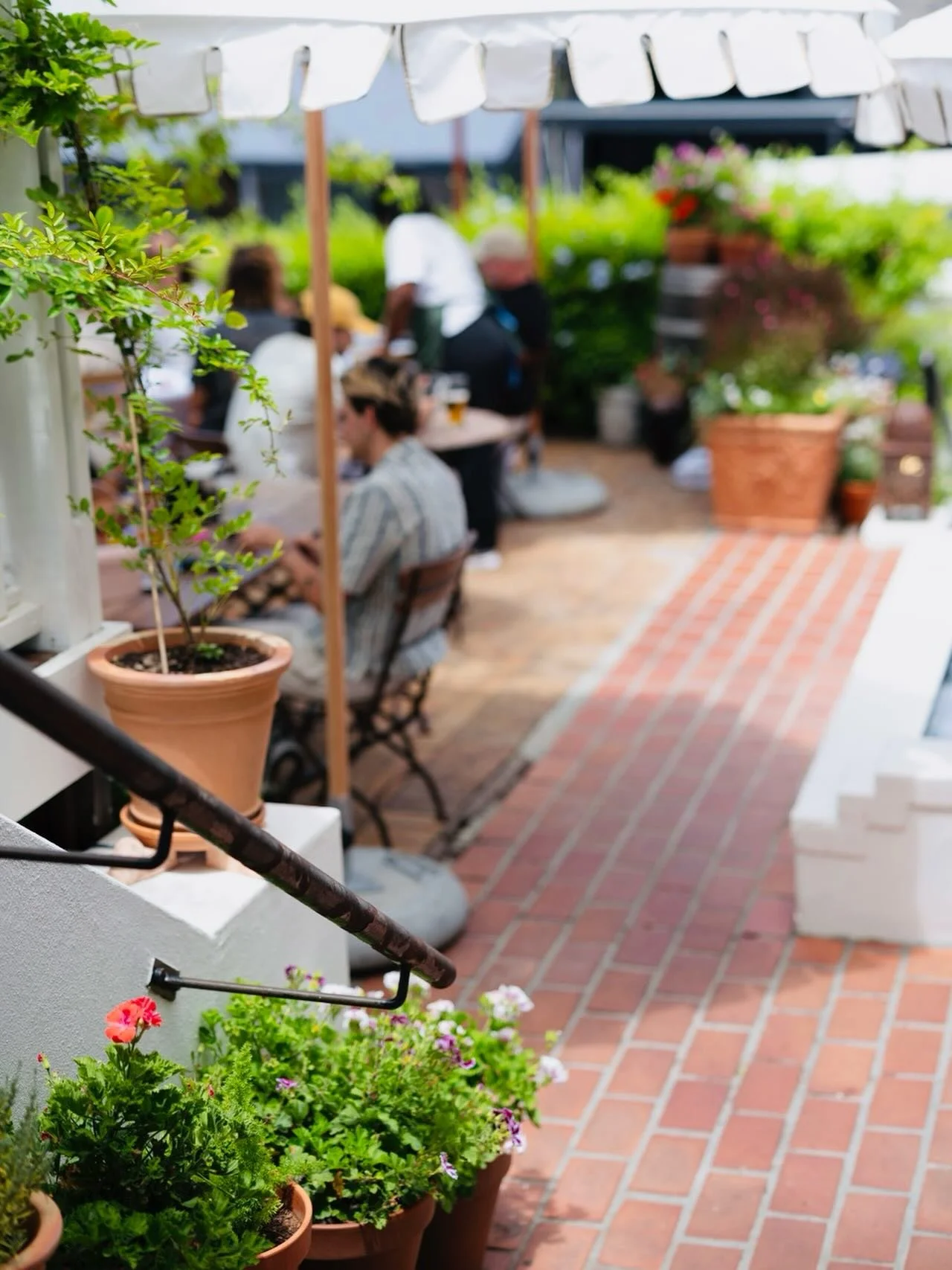 Our outside area is unbeatable on days like today 🌞🌿👌

@cafe_paradiso_cpt #cafeparadiso #cafe #restaurant @all.yours.co