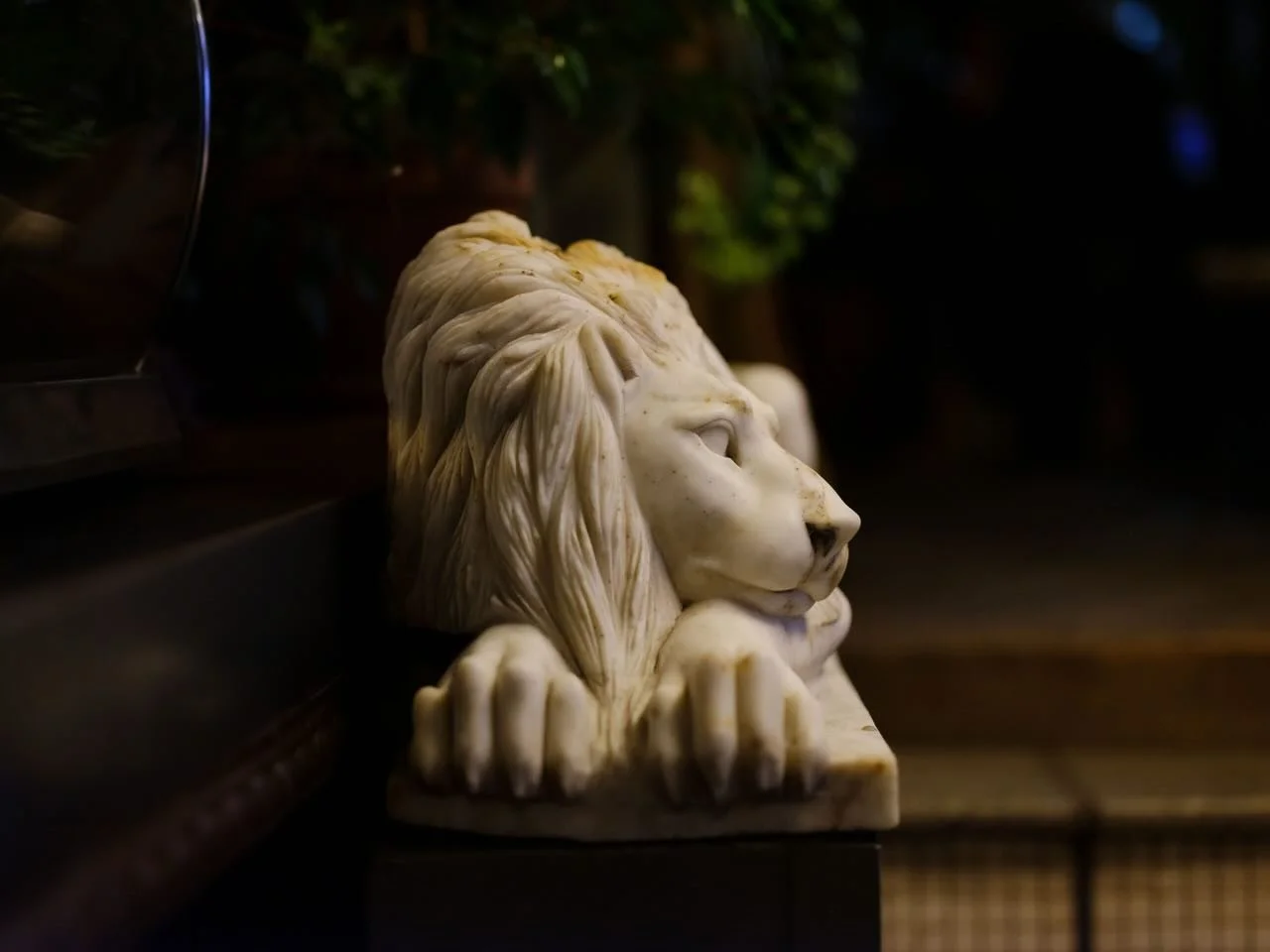 Likely the most iconic object in store 🦁 

@thepowerandtheglory #thepowerandtheglory #restaurant #bar #cafe #capetown @all.yours.co