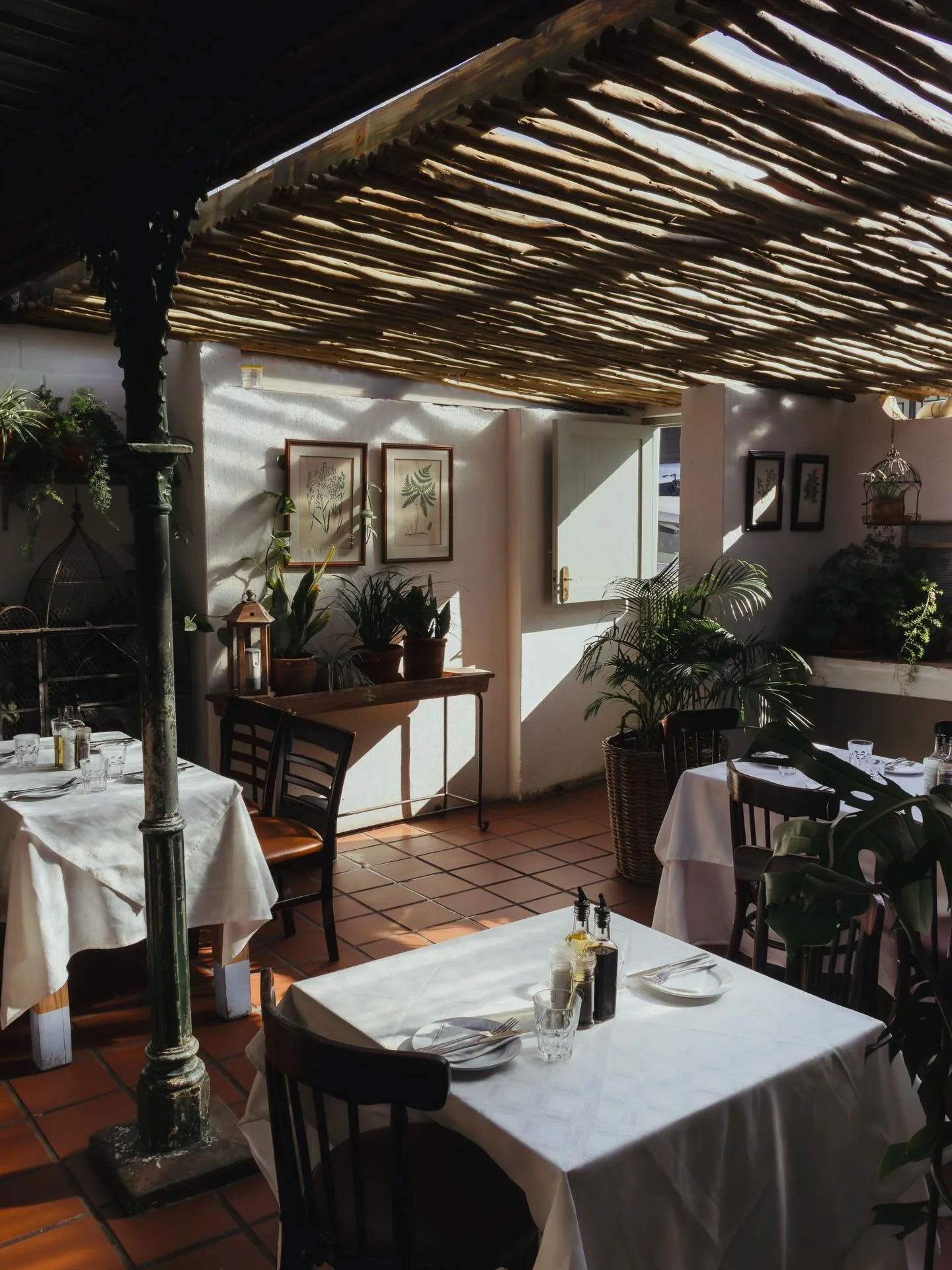 It&rsquo;s a special little nook. Our back courtyard is a perfect hideaway, especially when a tad colder out 🌿😁

@cafe_paradiso_cpt #cafeparadiso #restaurant #bar #capetown @all.yours.co