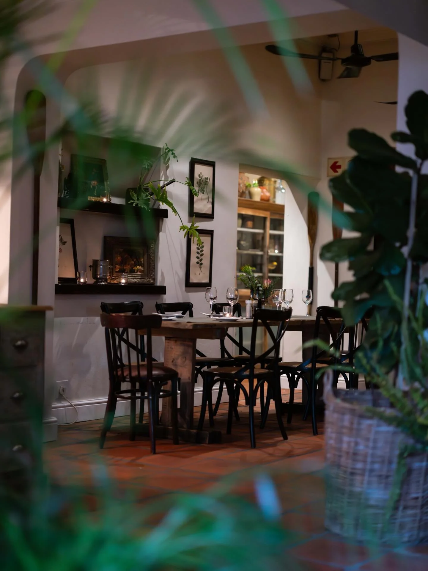 Our restaurant&hellip;cosy, rustic and open for breakfast, lunch &amp; dinner daily 🪴👍🍸☕️

@cafe_paradiso_cpt #cafeparadiso #restaurant #cafe #bar #capetown @all.yours.co