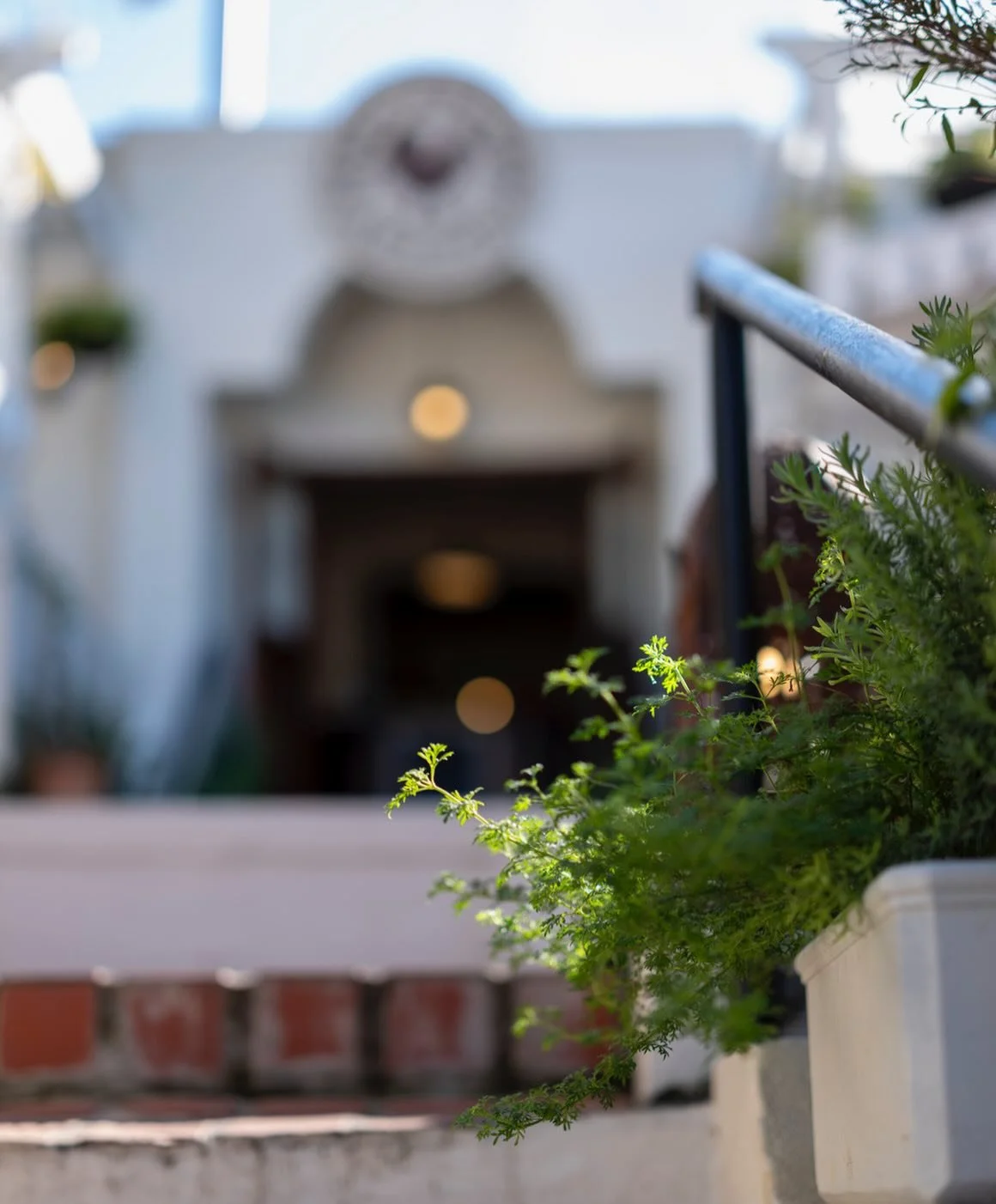 We&rsquo;re looking forward to another evening of Jazz in the garden later 🎵🍸

Be sure to arrive early to get a seat 🤩🌿👌

@cafe_paradiso_cpt #cafeparadiso #restaurant #bar #capetown #southafrica @all.yours.co